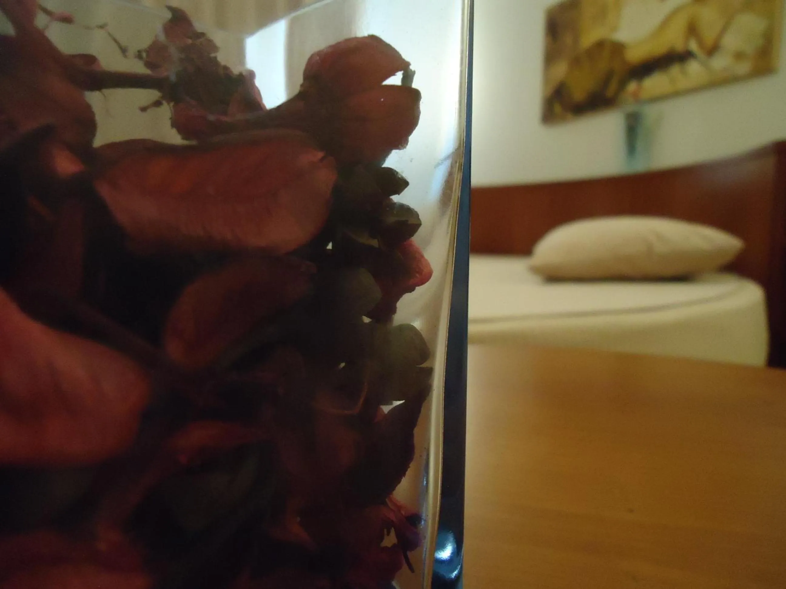 Decorative detail, Bed in Hotel Pombeira