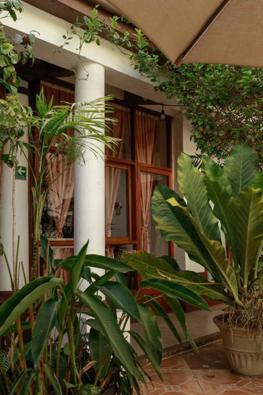 Garden in Posada Galeria Alberto Sedas