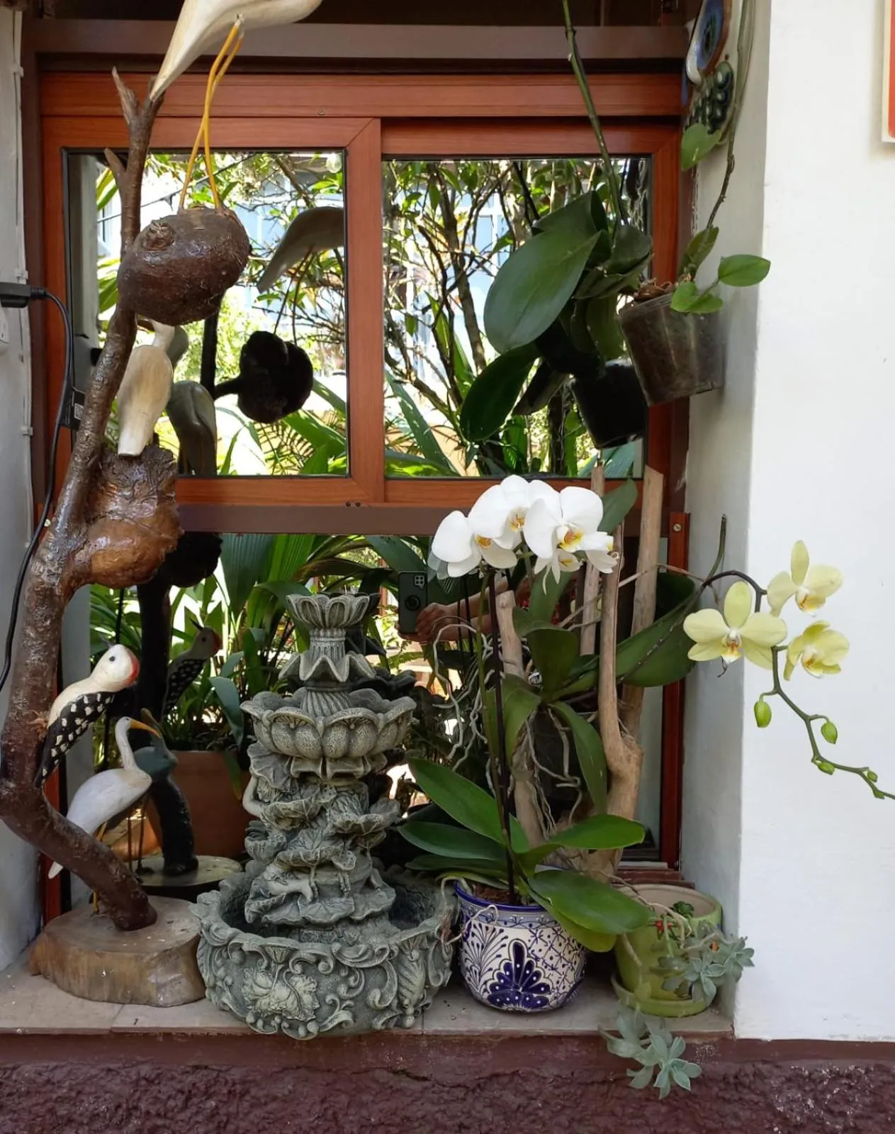 Garden in Posada Galeria Alberto Sedas