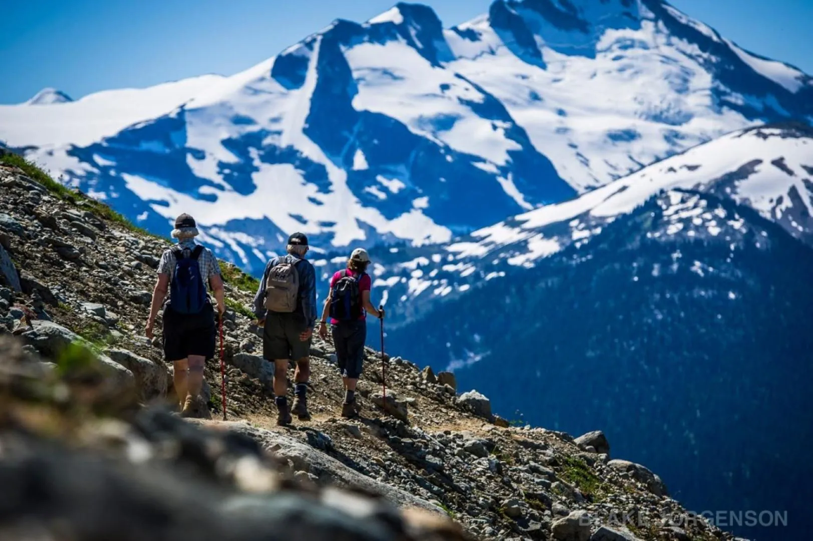 Bright Suite at Ski In/Out Glacier Lodge!