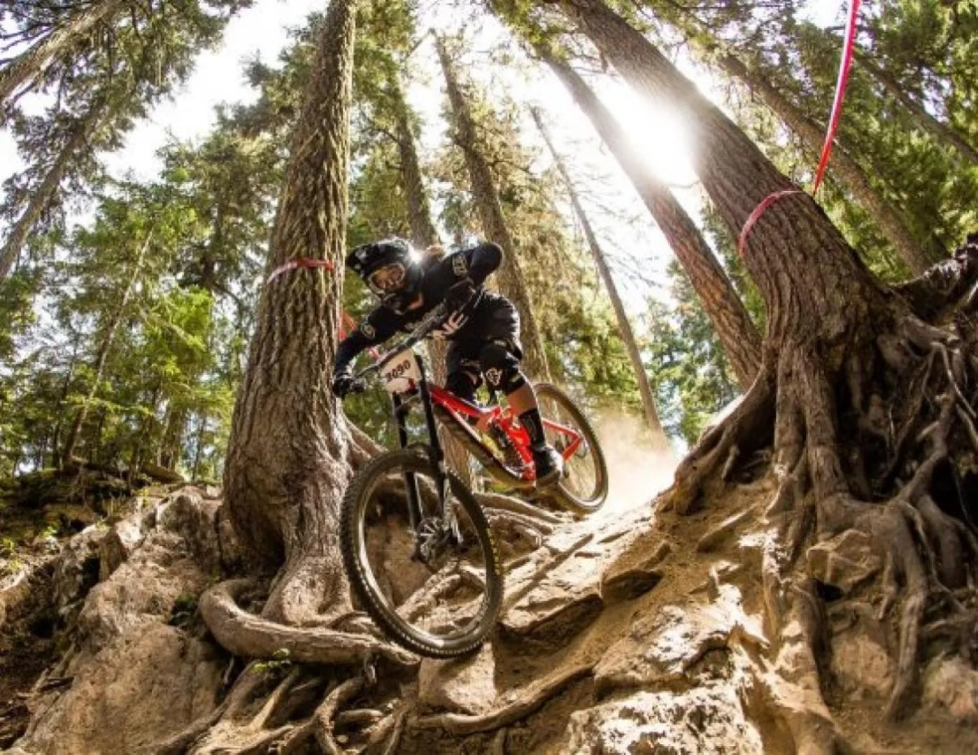 Bright Suite at Ski In/Out Glacier Lodge!