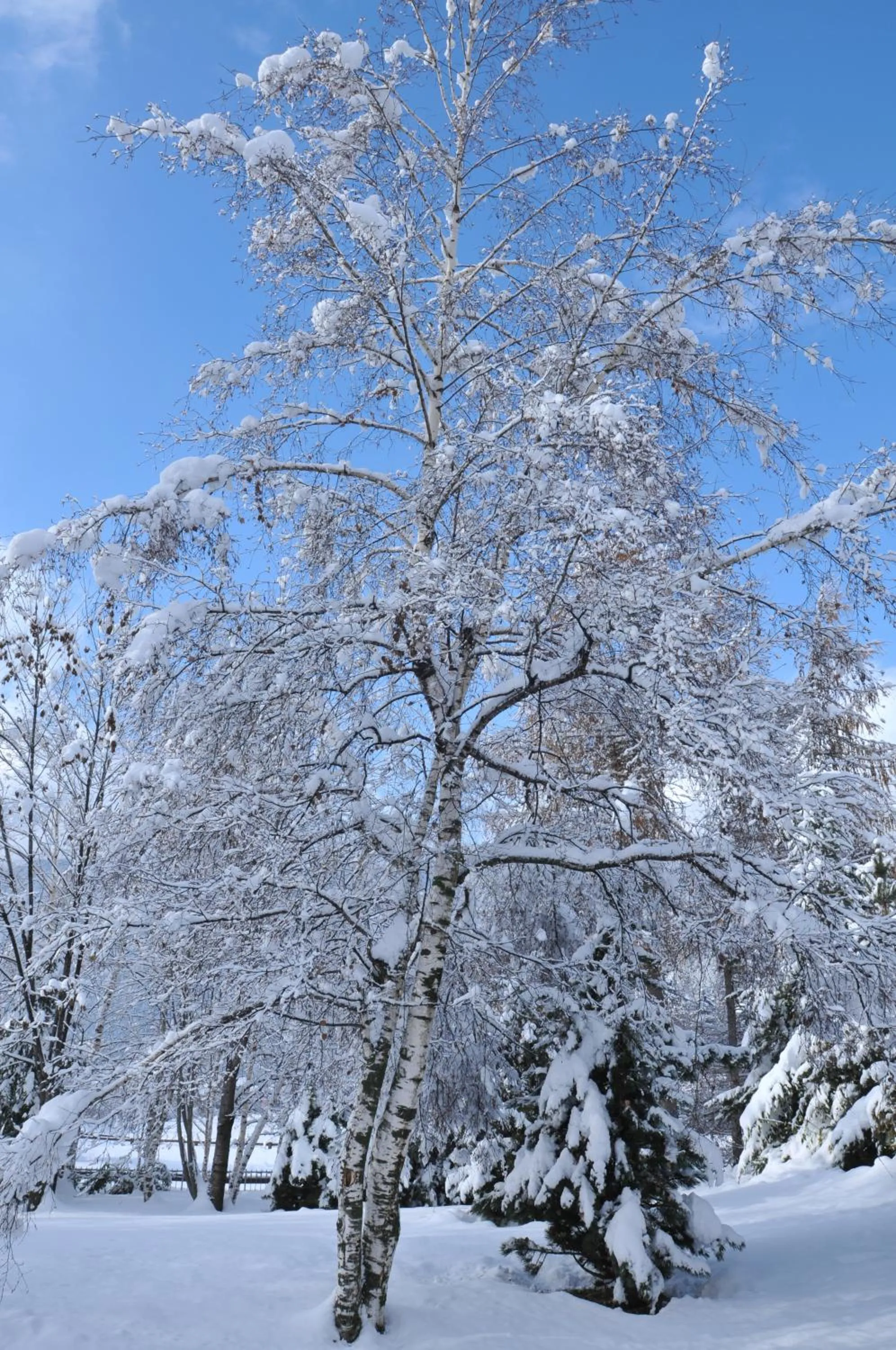 Winter in Residence Sci Sport