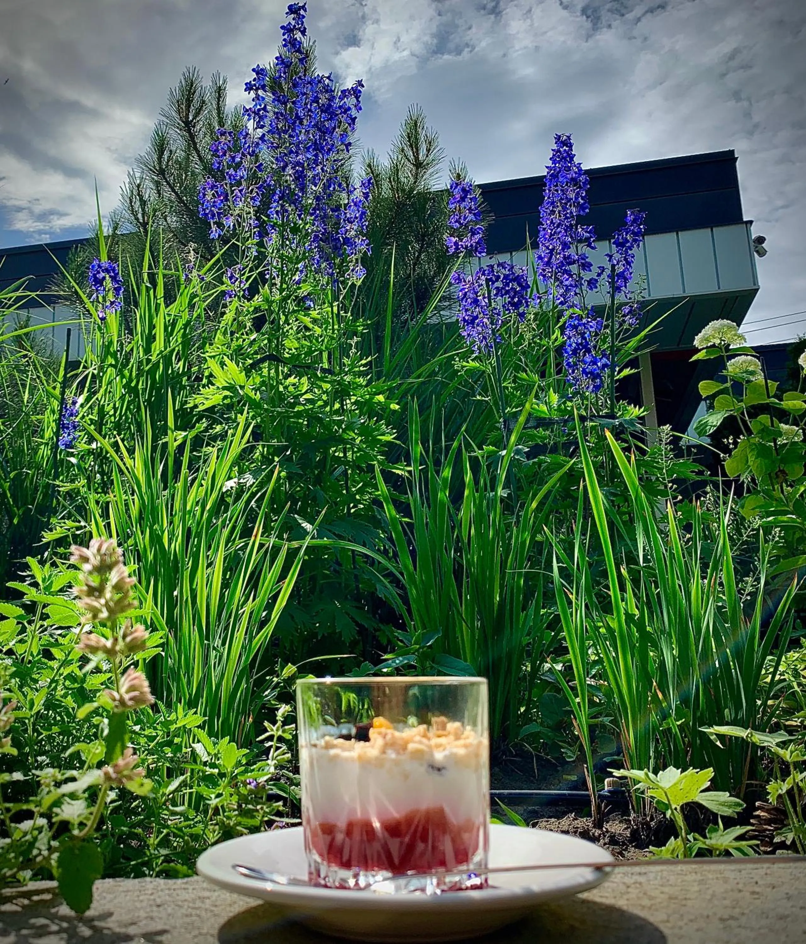 Garden in Villa Four Rooms