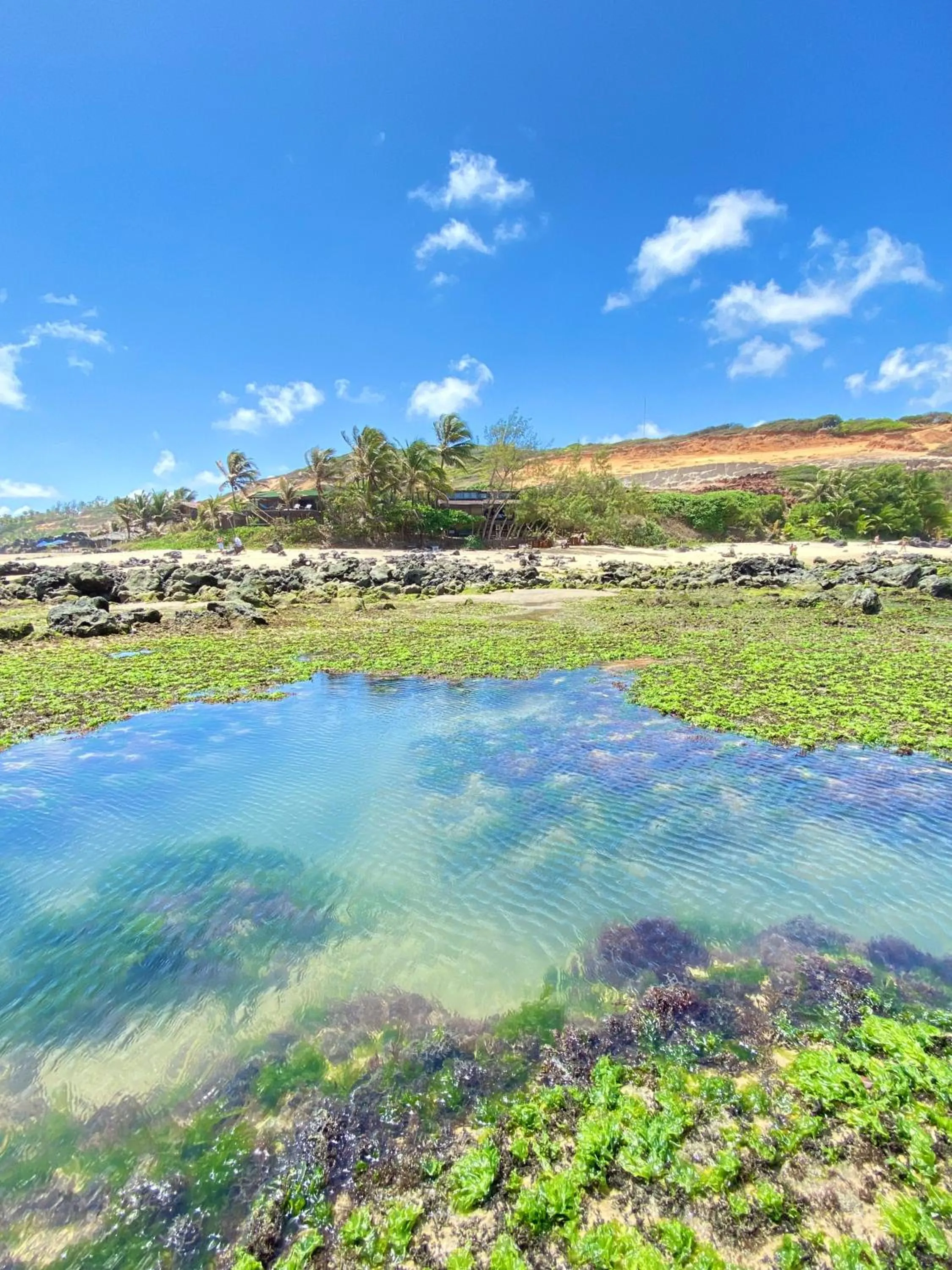 Pousada Paraíso das Tartarugas