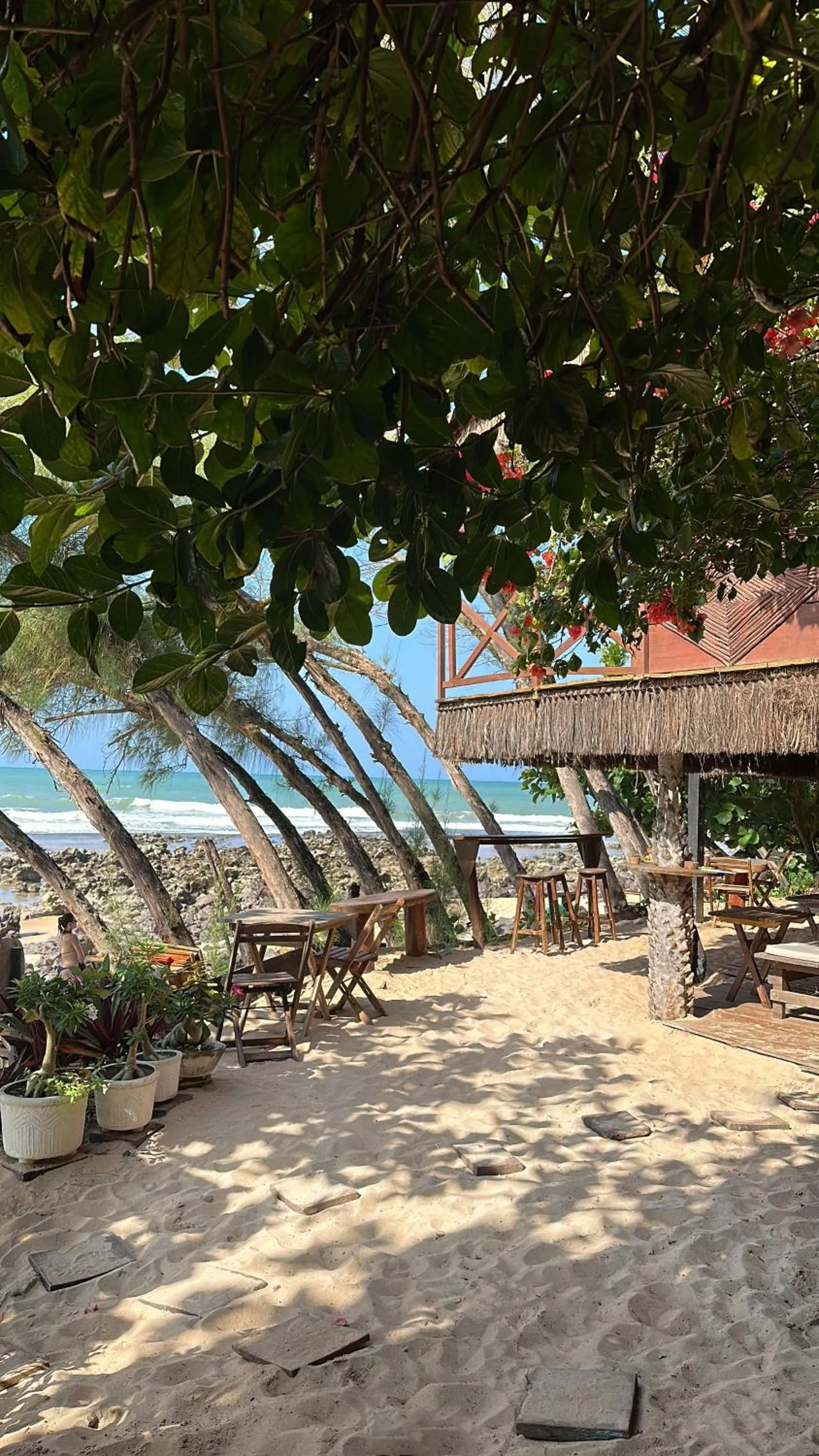 Pousada Paraíso das Tartarugas