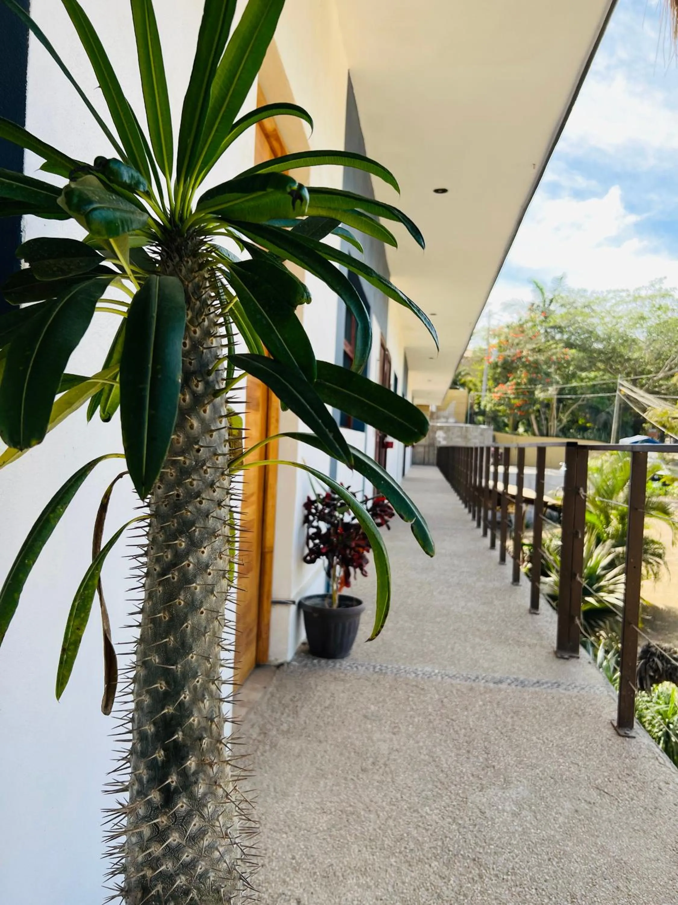 Quiet street view in Hotel Samanu