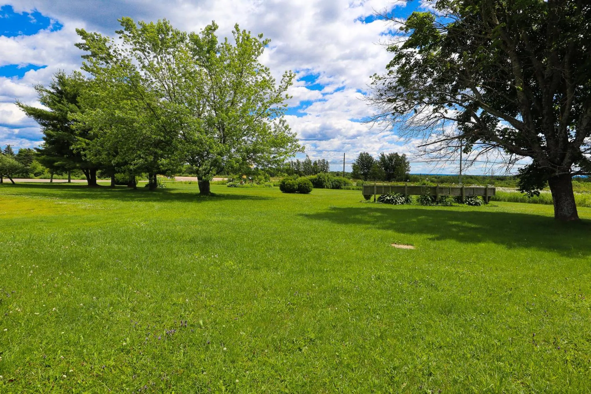 Garden in Atlantic Motel