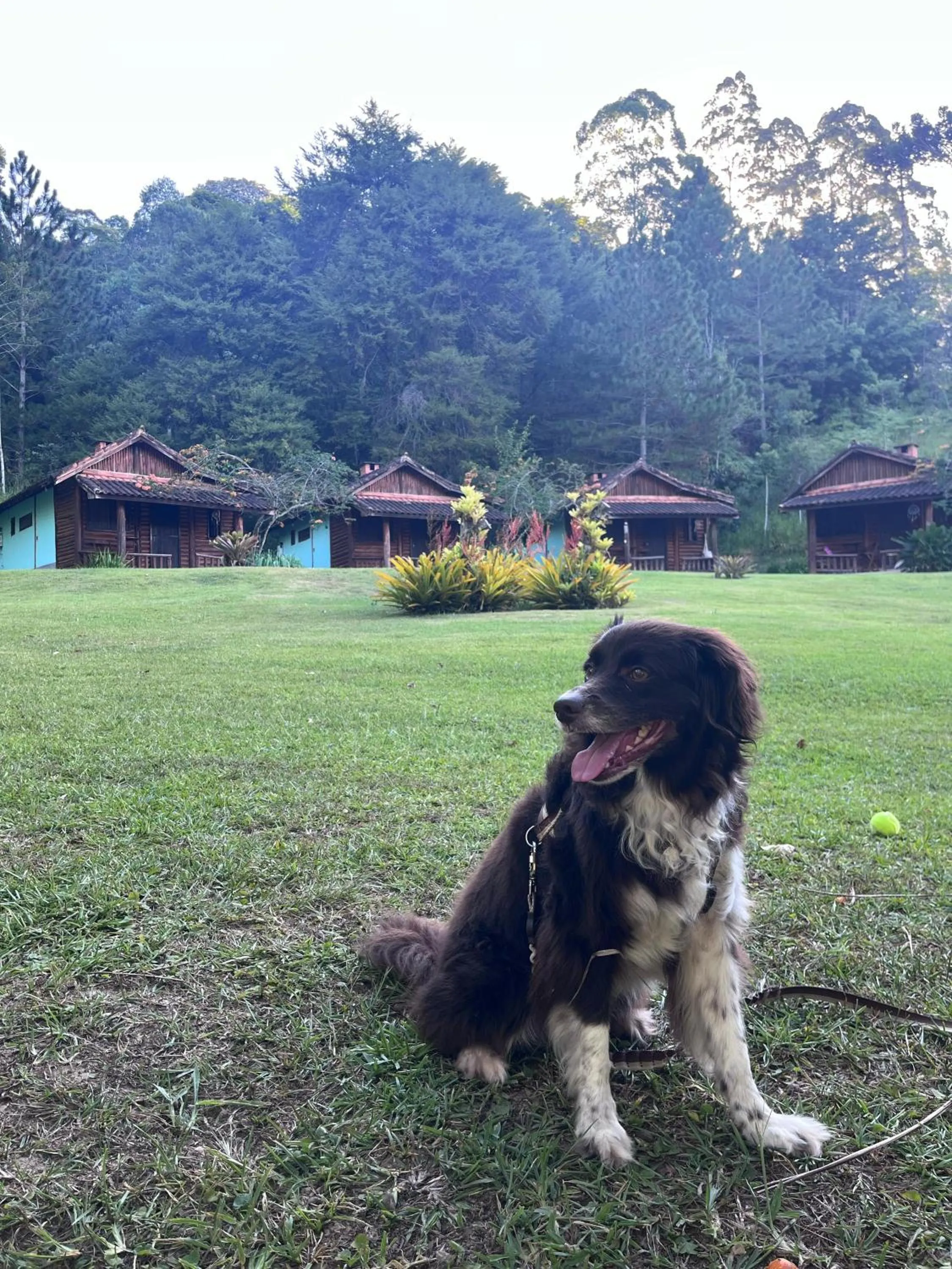 Pousada Cabanas da Serra Lumiar