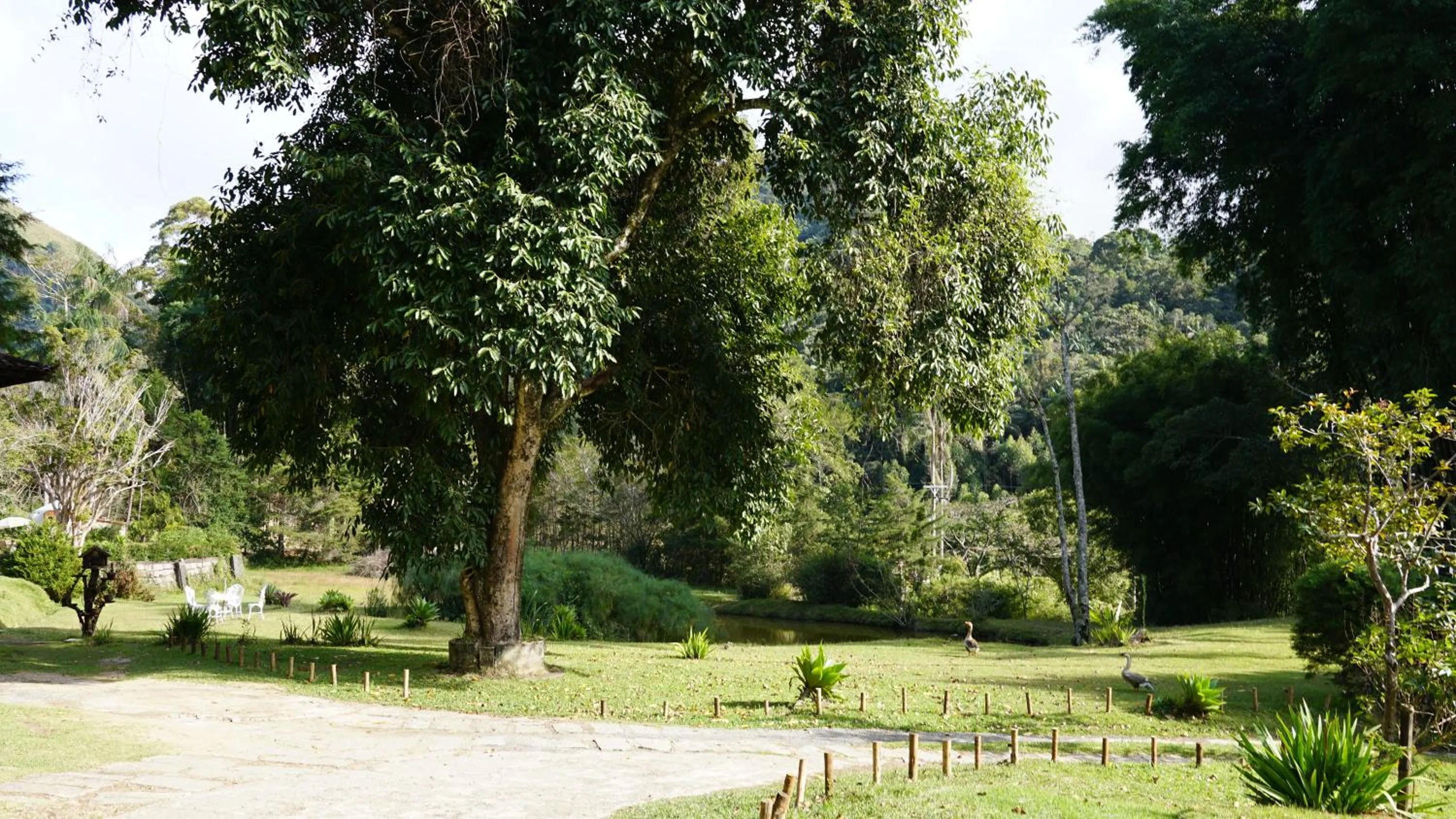 Garden view in Pousada Cabanas da Serra Lumiar