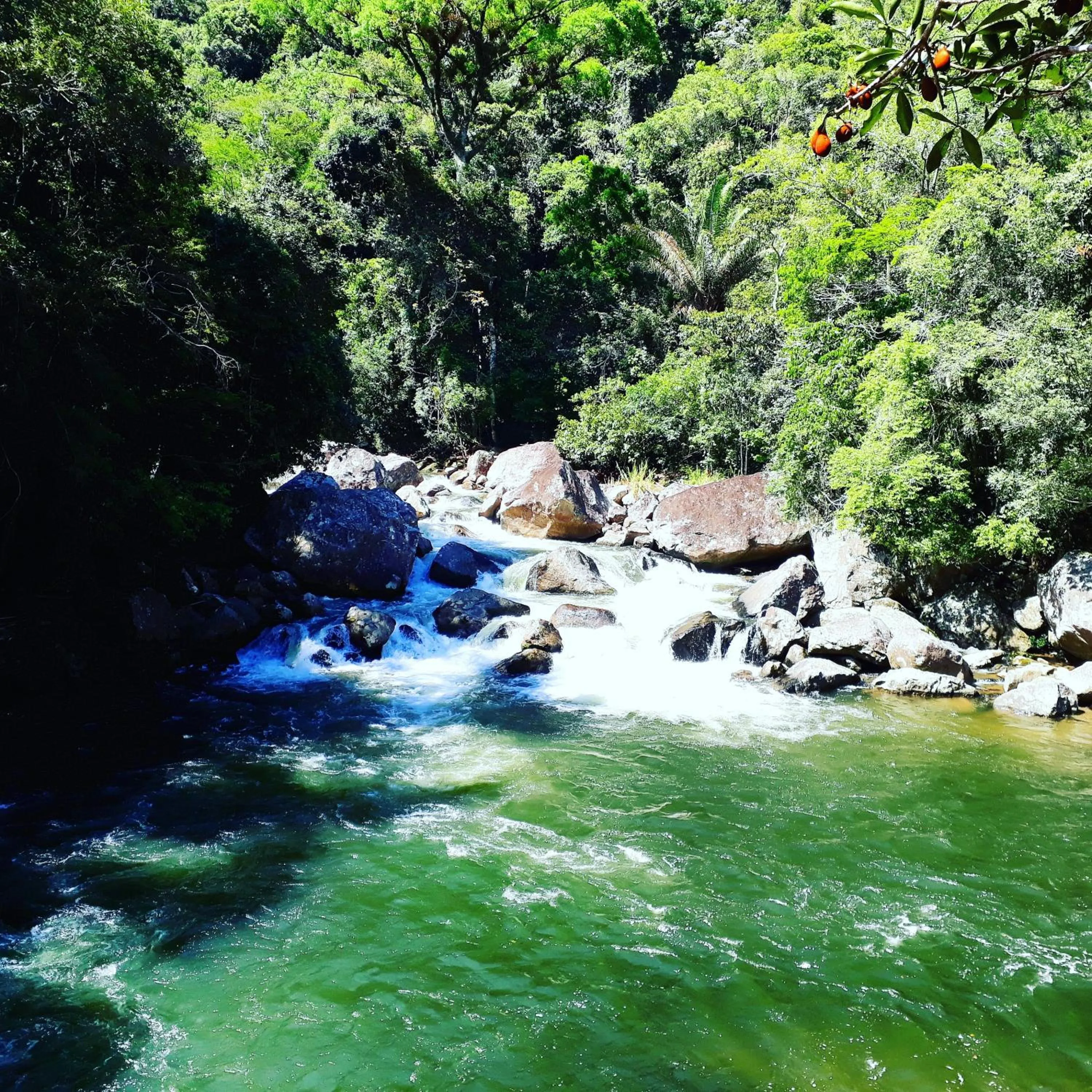 Natural landscape in Pousada Cabanas da Serra Lumiar