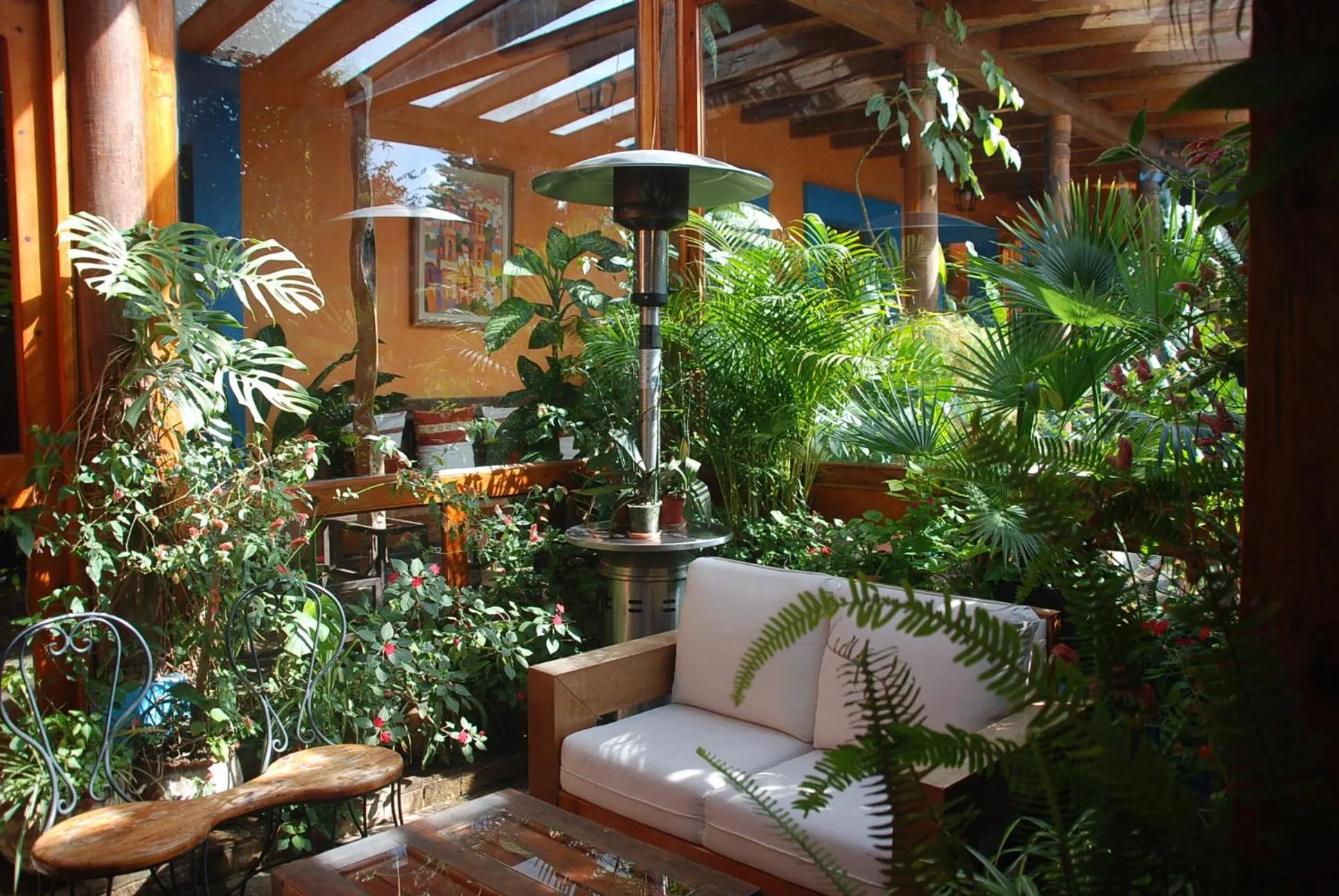 Garden in Hotel Posada El Paraíso