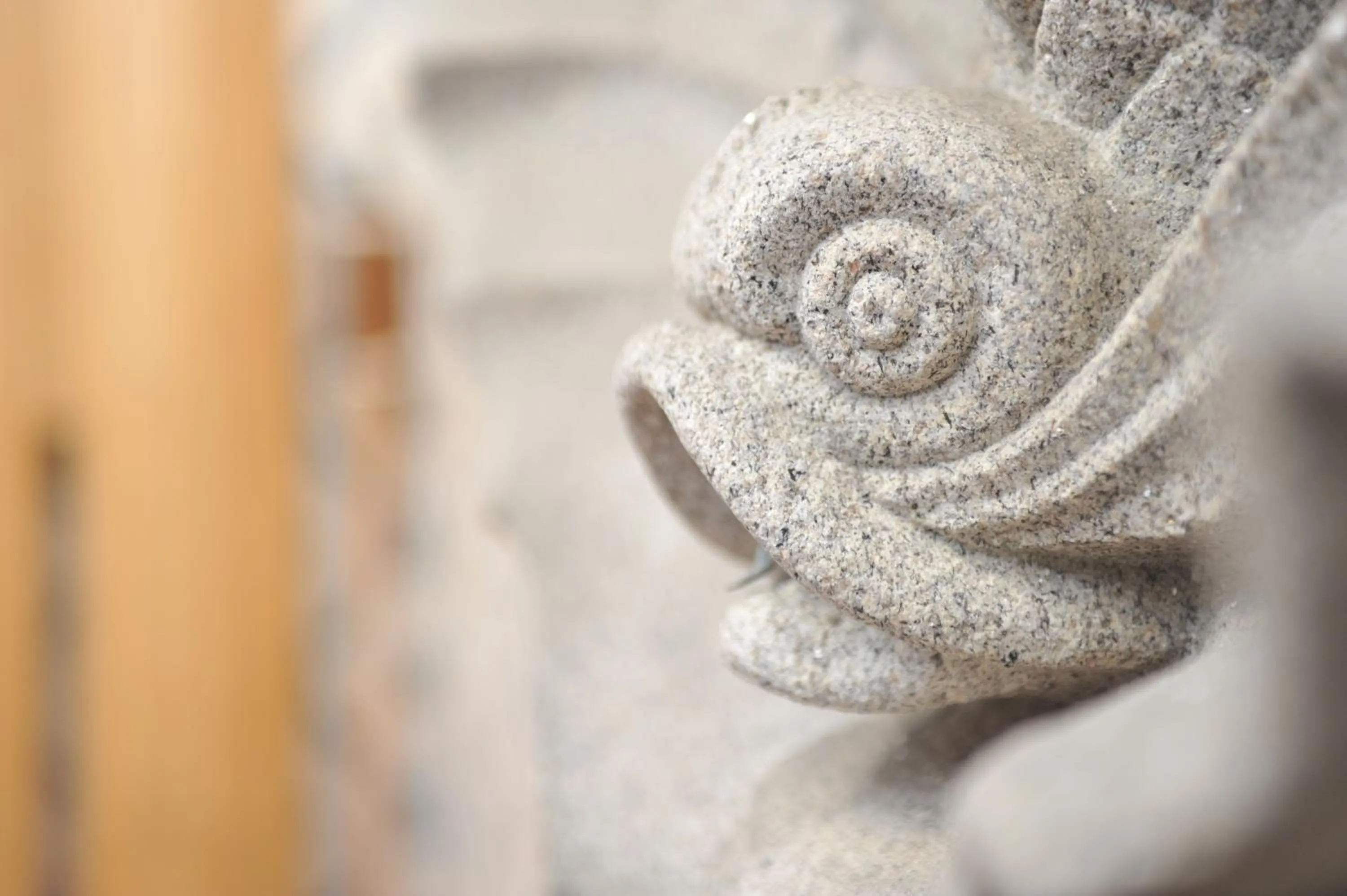 Facade/entrance in Porto Domus Hotel