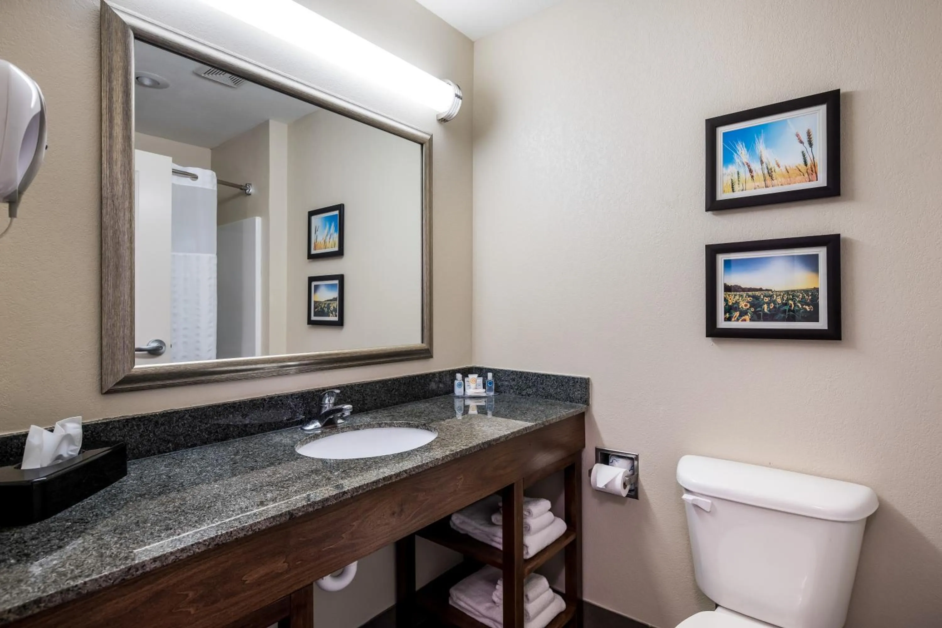 Bathroom in Comfort Inn Bonner Springs Kansas City