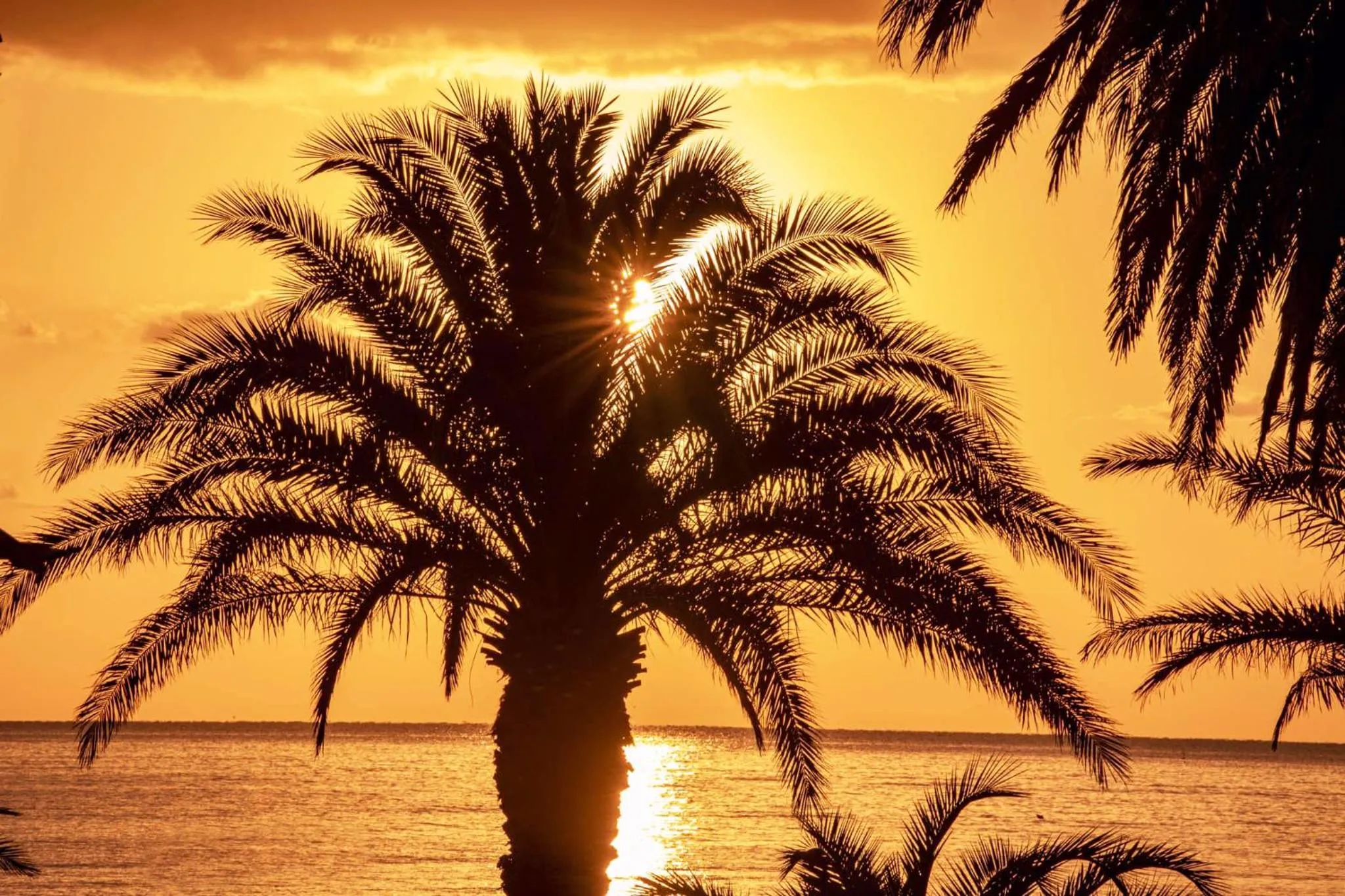 Sea view in Mare D’amare