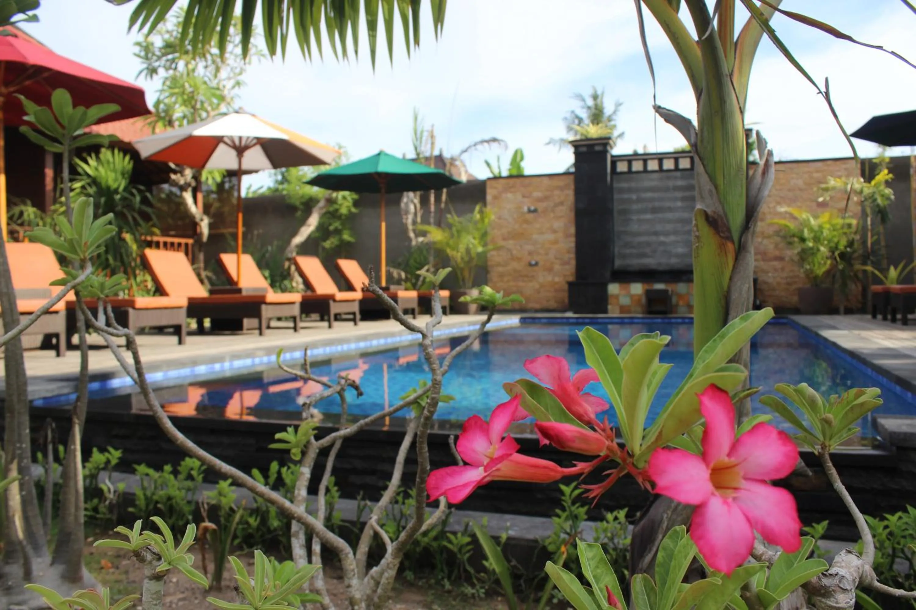 Swimming pool in Pattri Garden Lembongan