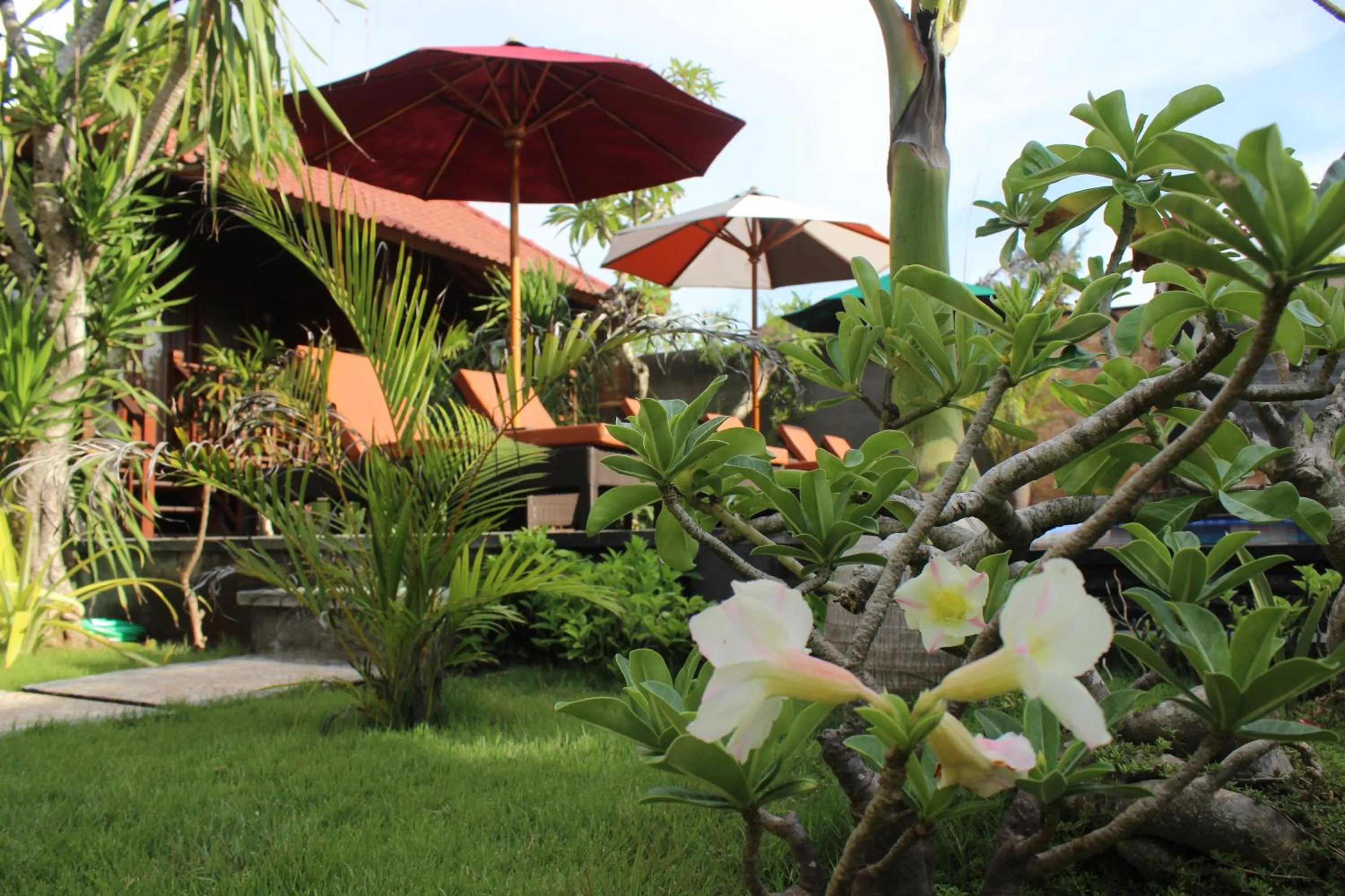 Property building in Pattri Garden Lembongan