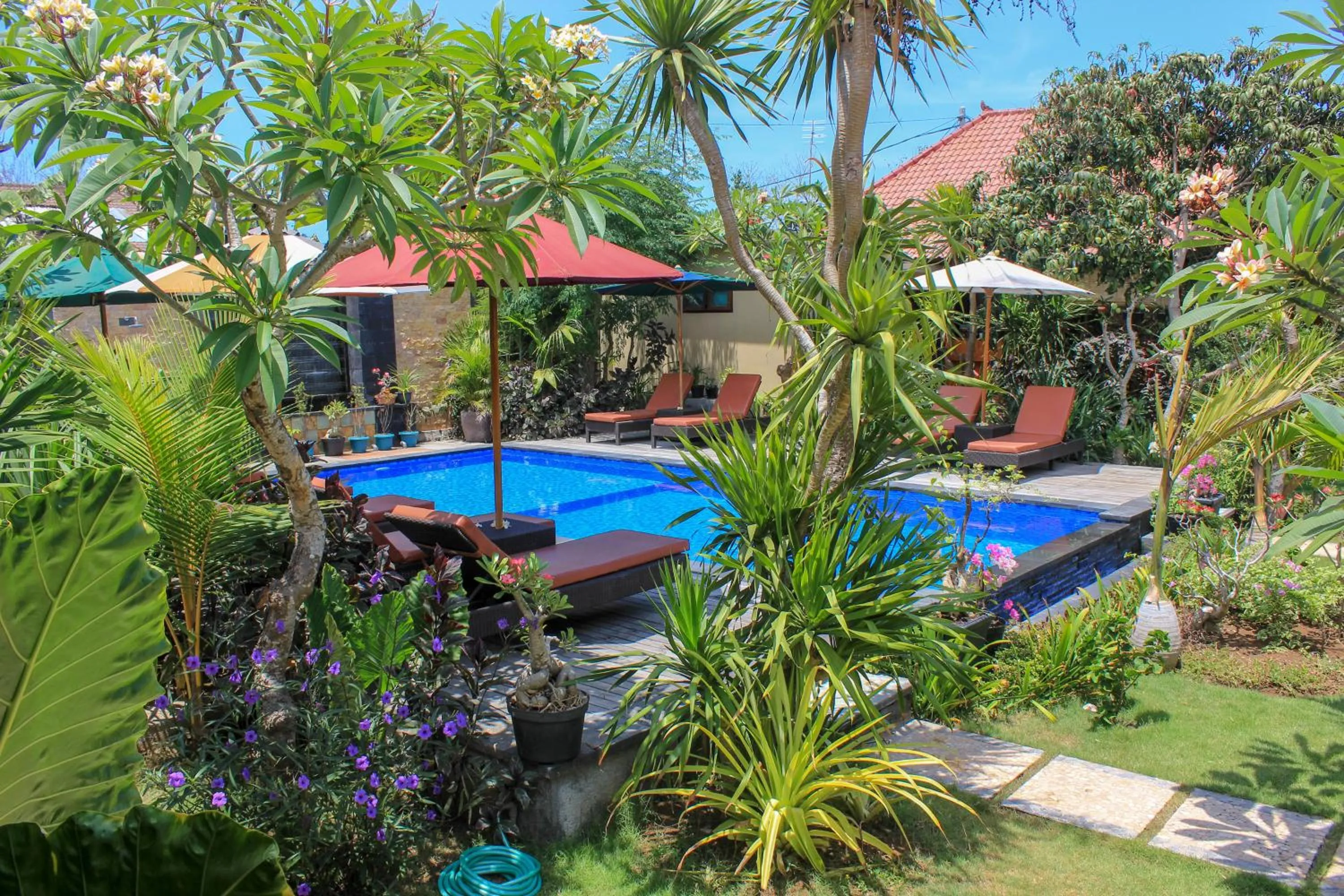 Swimming pool in Pattri Garden Lembongan