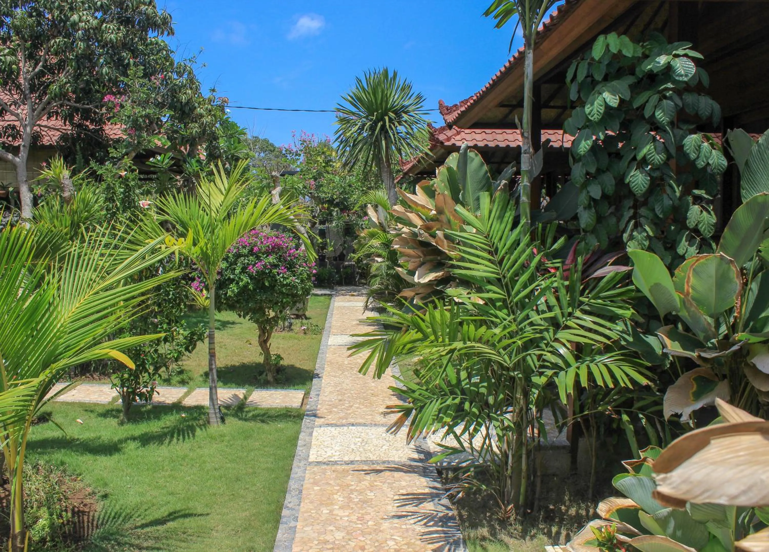 Property building in Pattri Garden Lembongan