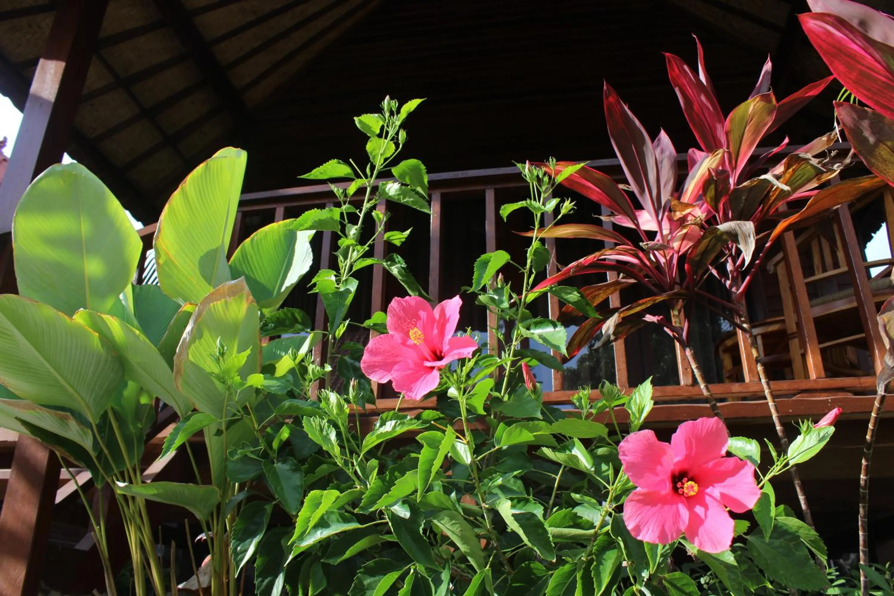 Patio in Pattri Garden Lembongan
