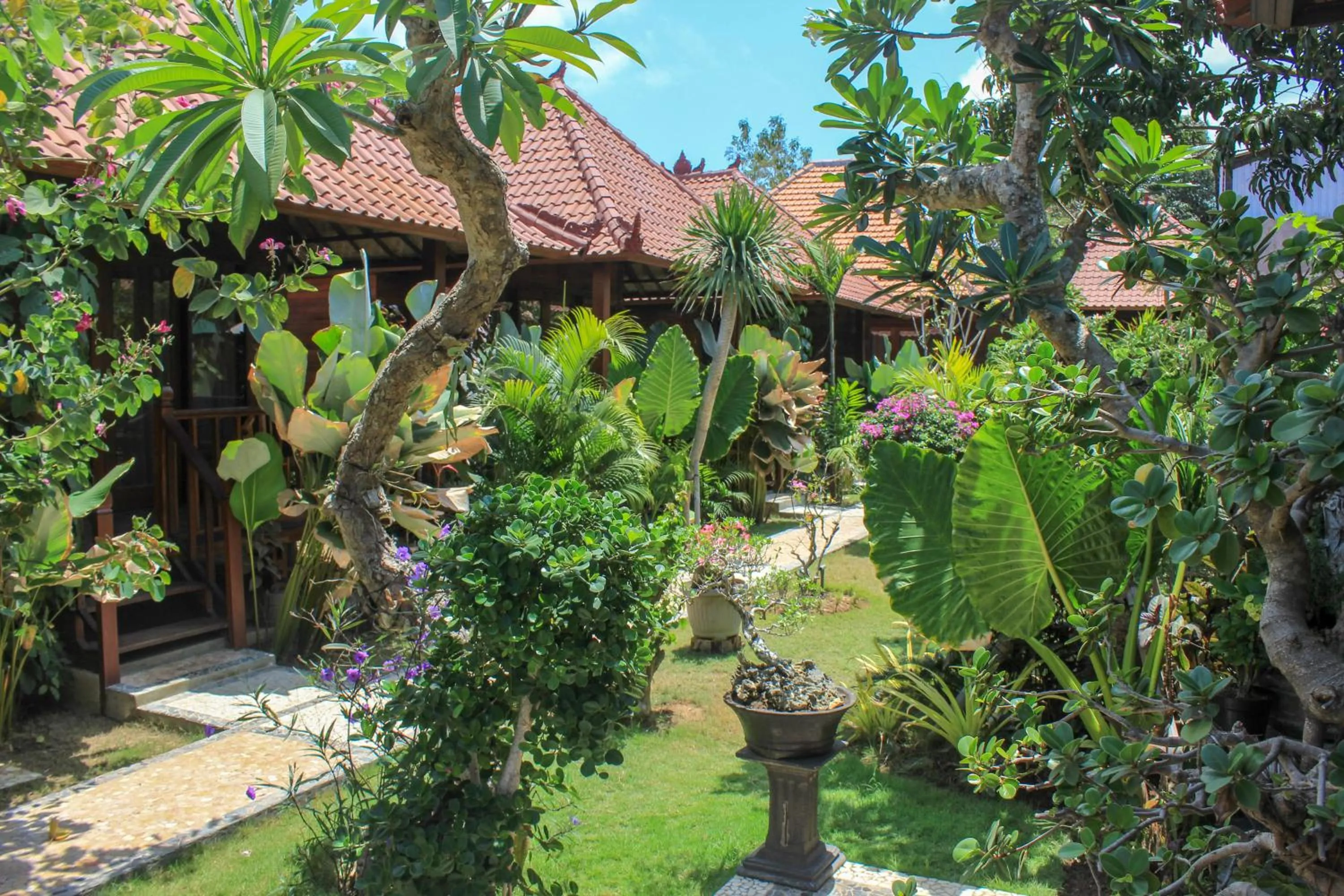 Garden in Pattri Garden Lembongan