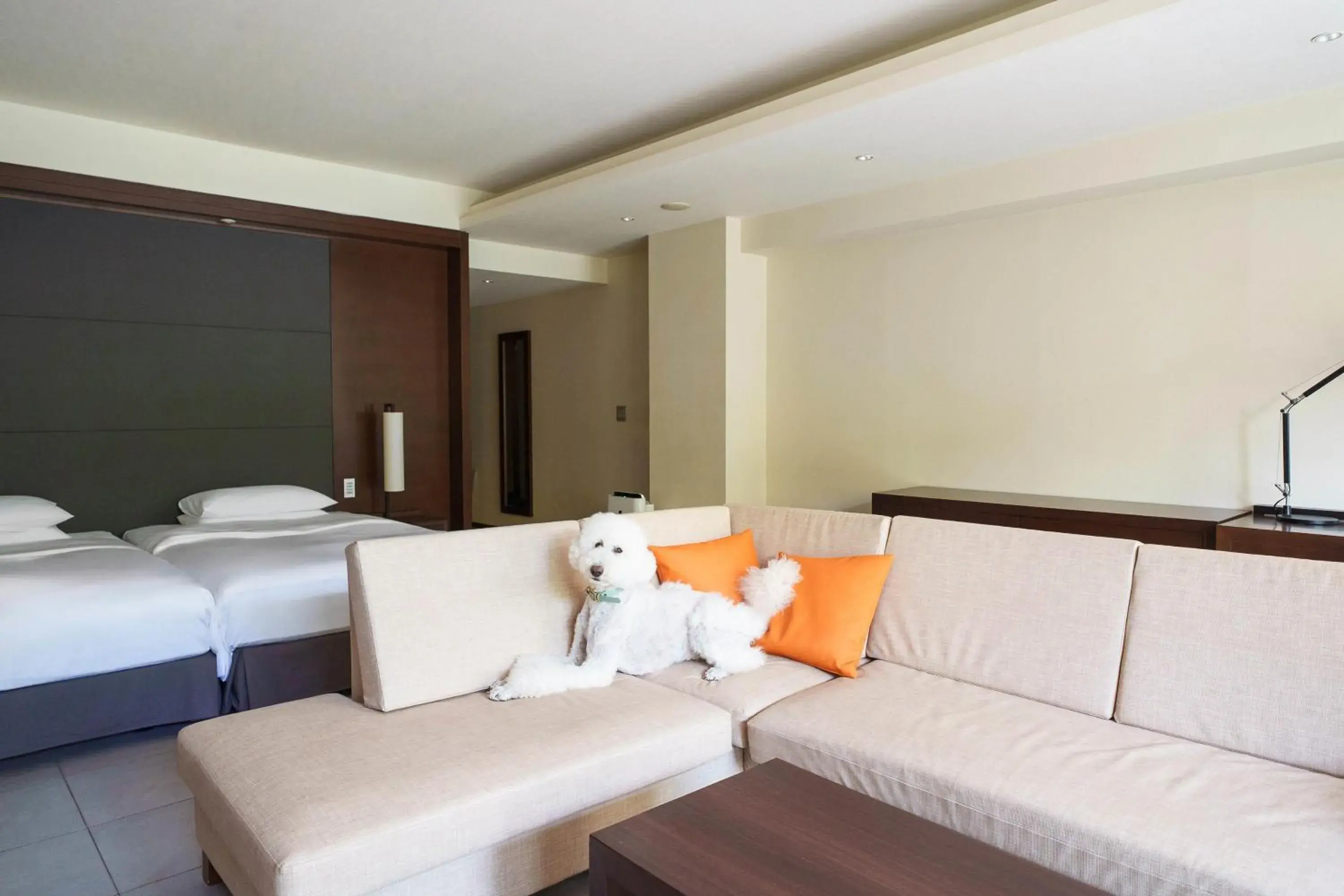 Deluxe Twin Room - Dog Friendly in Hyatt Regency Hakone Resort and Spa Deluxe Twin Room - Dog Friendly in Hyatt Regency Hakone Resort and Spa