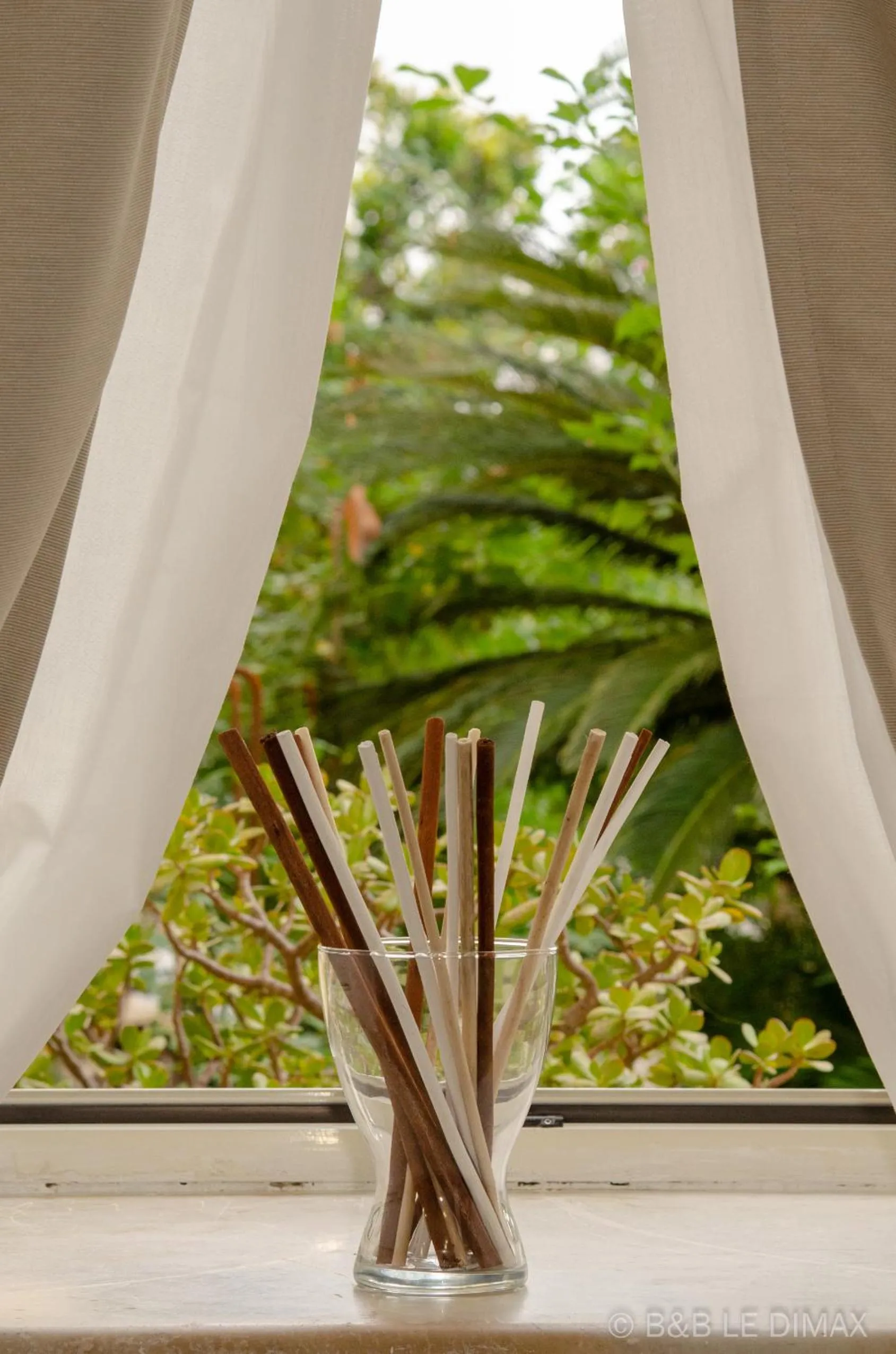 Garden view in Le Dimax