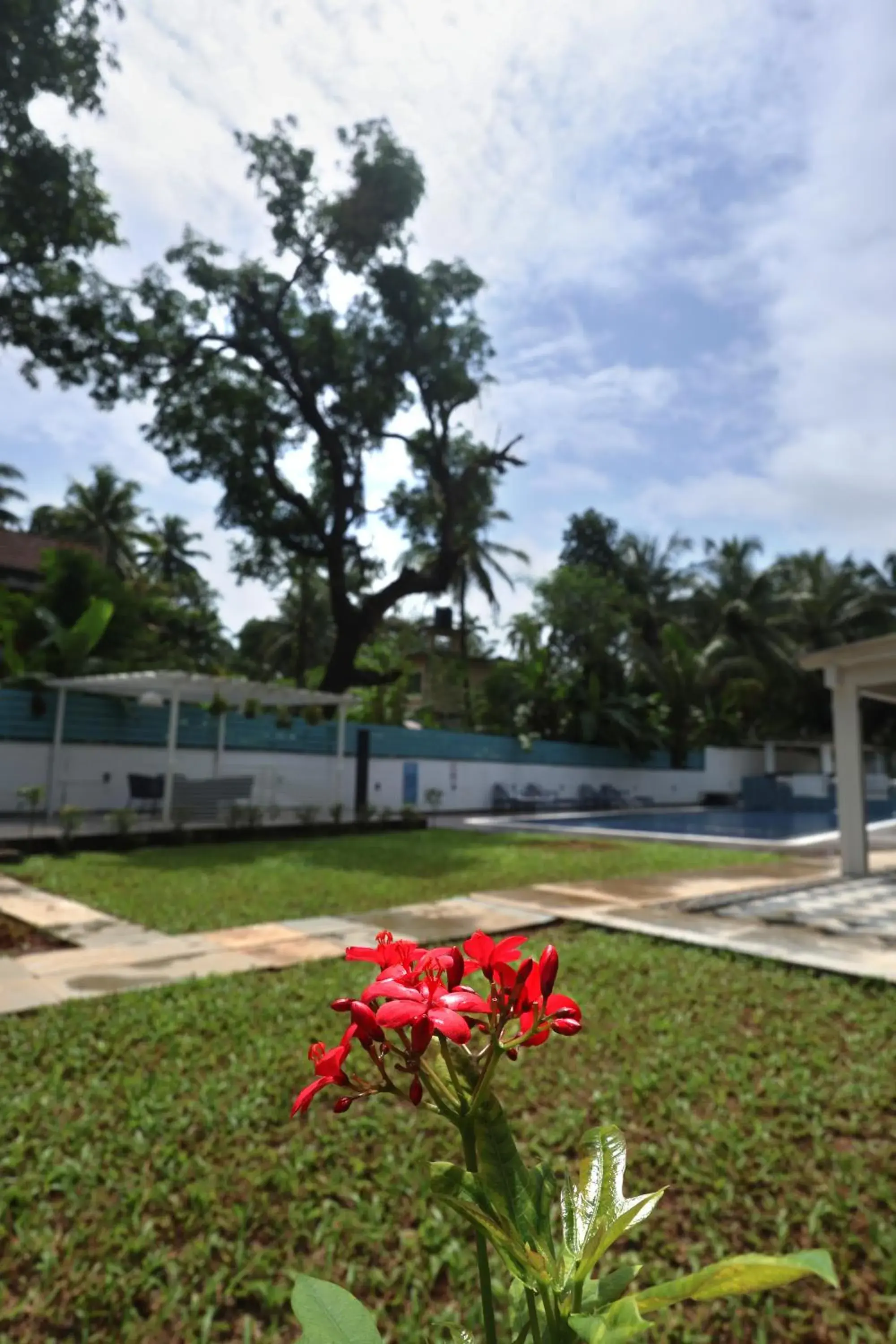 Garden view in Ramada by Wyndham Goa Arpora Garden view in Ramada by Wyndham Goa Arpora