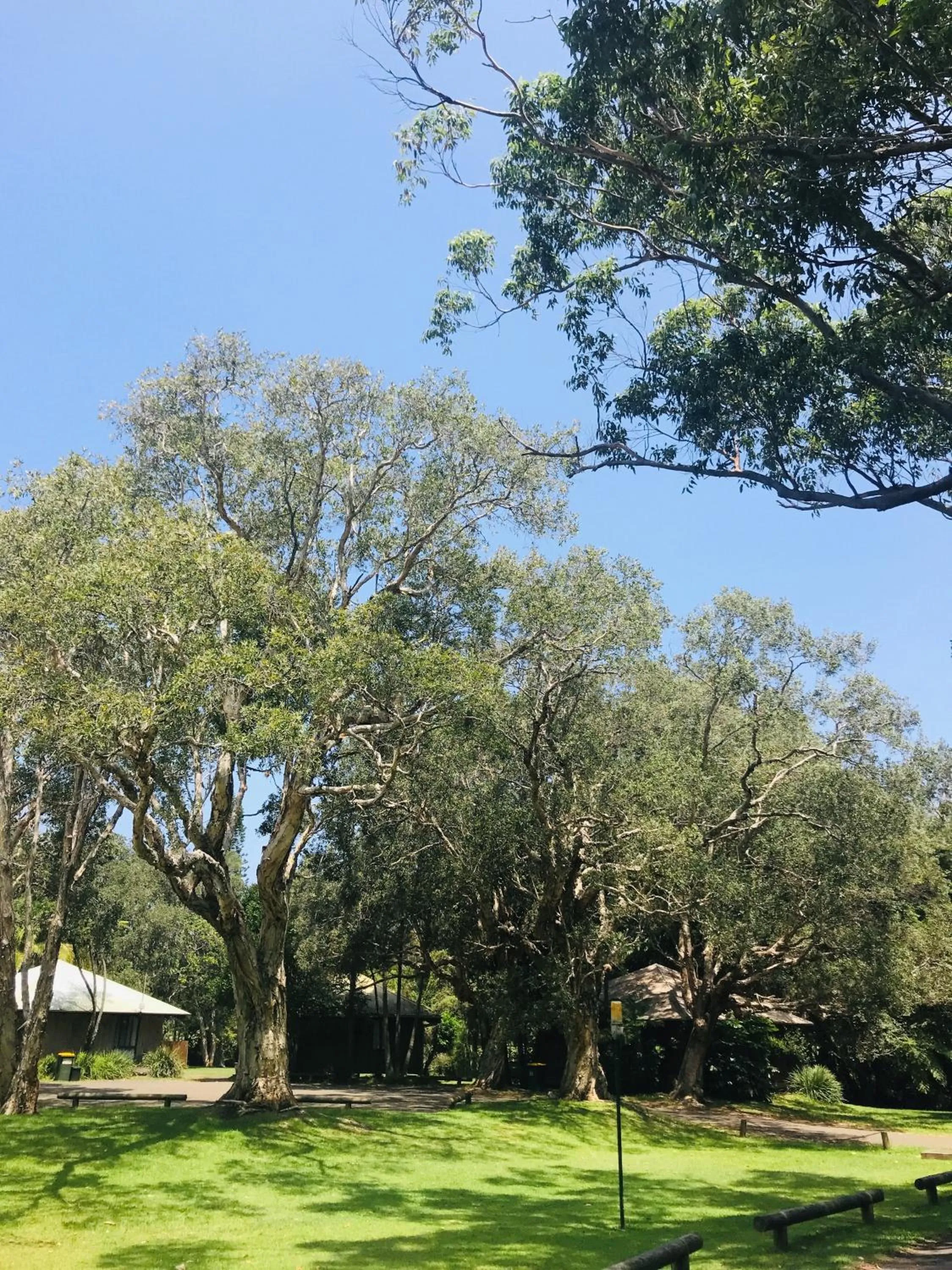 Garden in Lighthouse Beach Holiday Village
