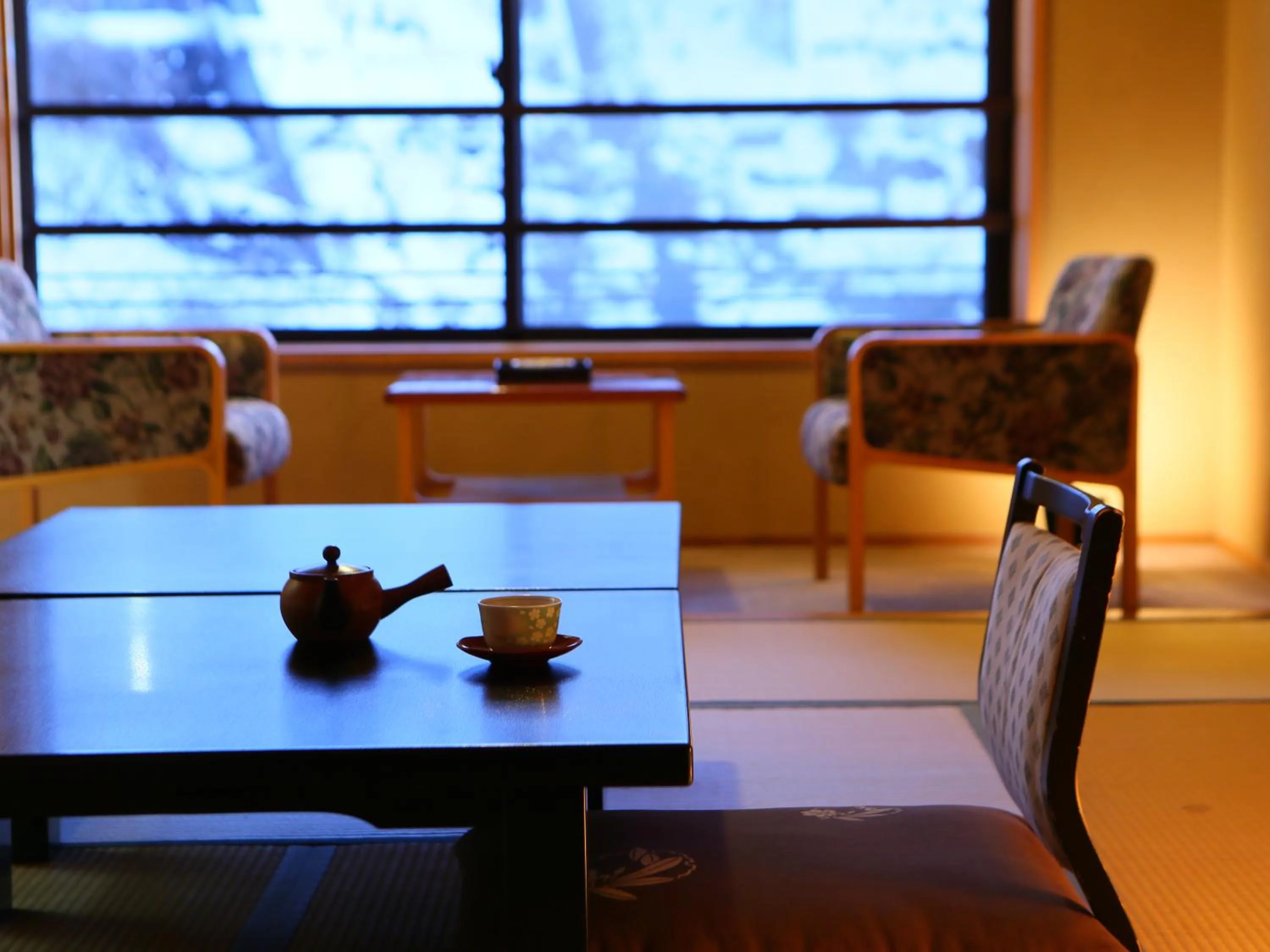 Photo of the whole room in Shibu Hotel