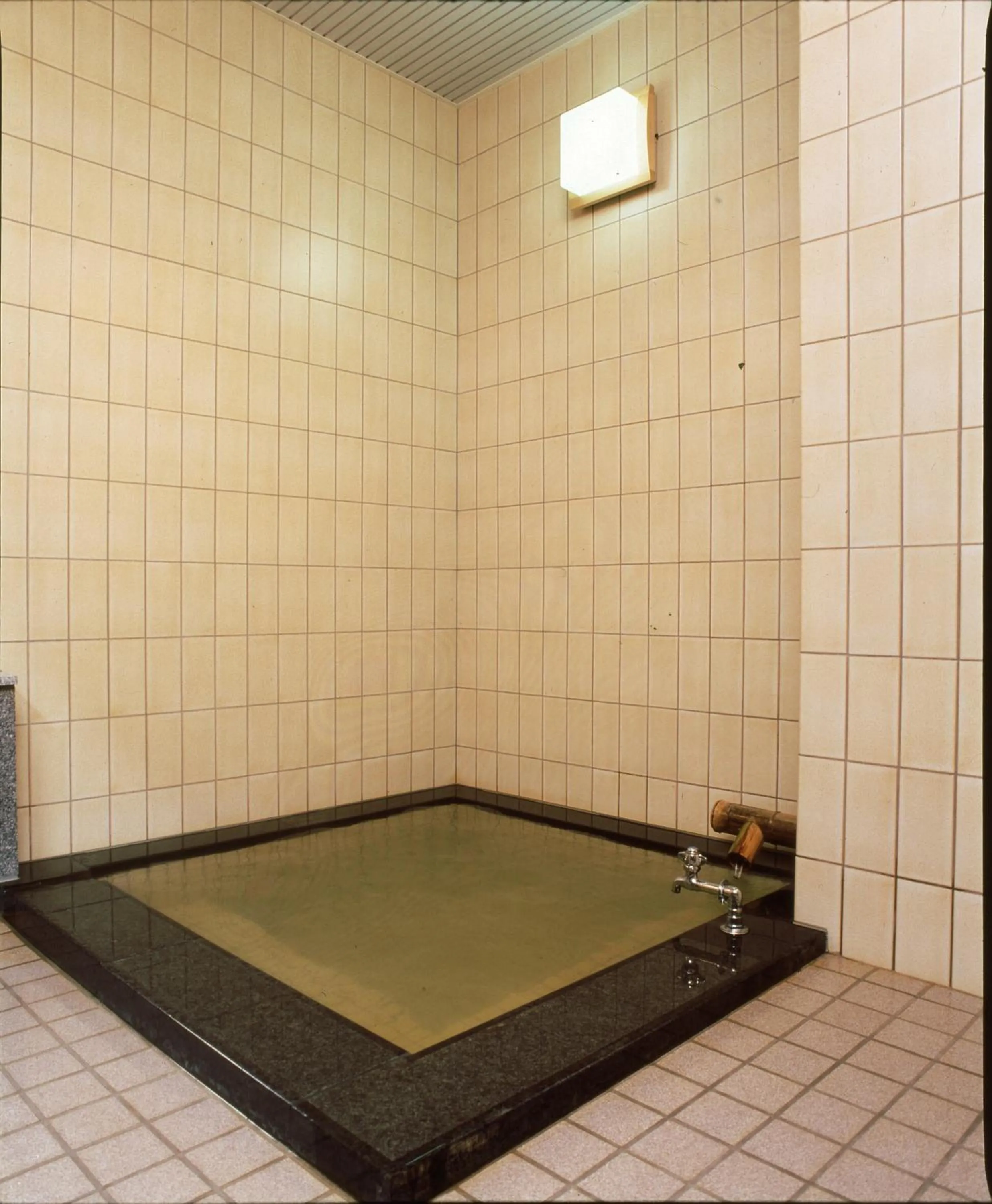 Hot Spring Bath in Shibu Hotel