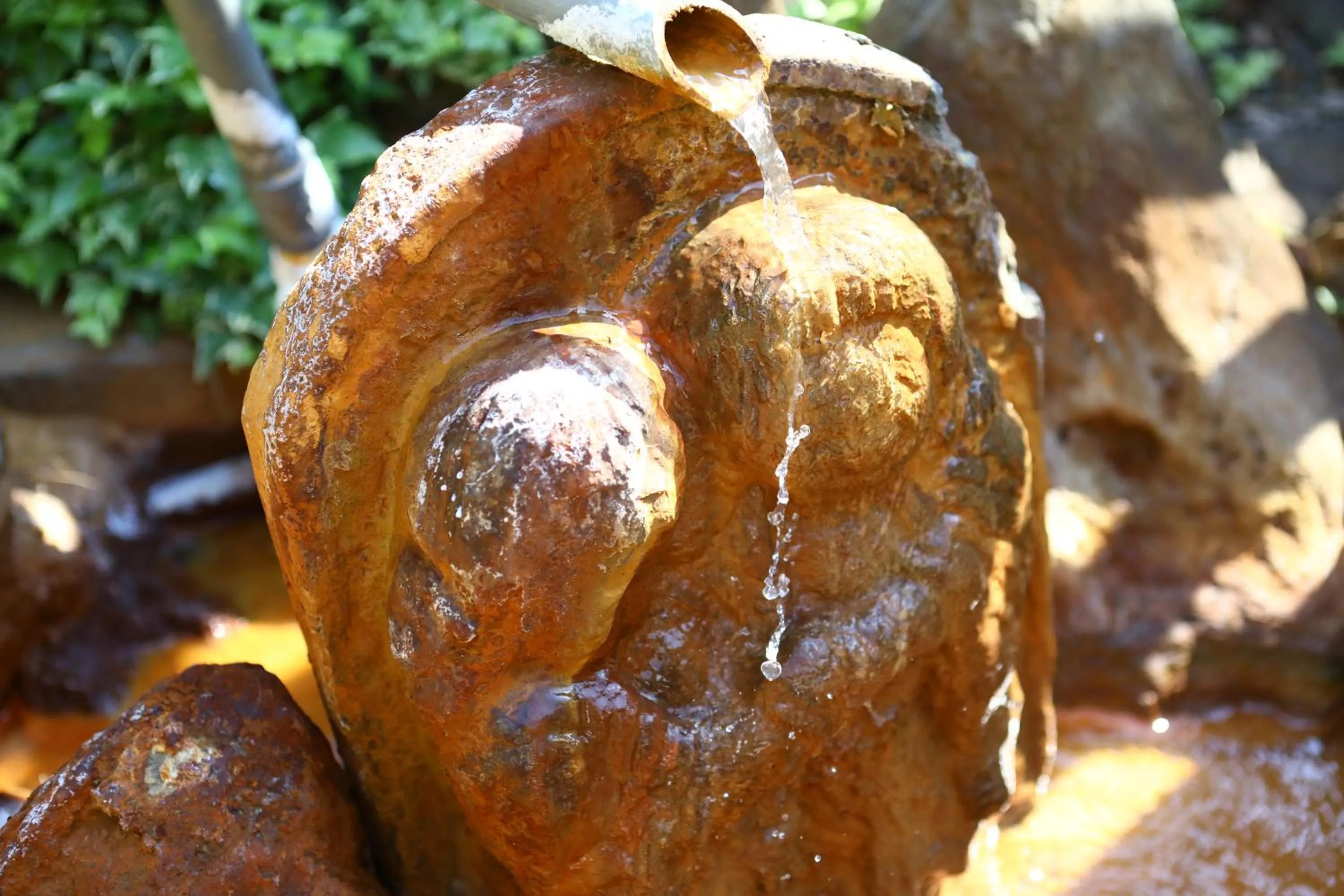 Nearby landmark in Ikariya Ryokan