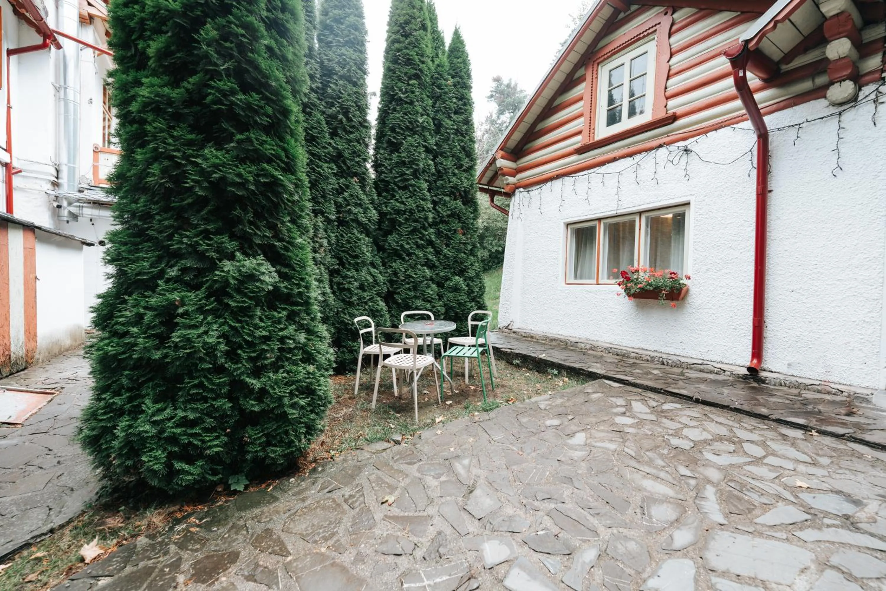 Property building in Vila Camelia