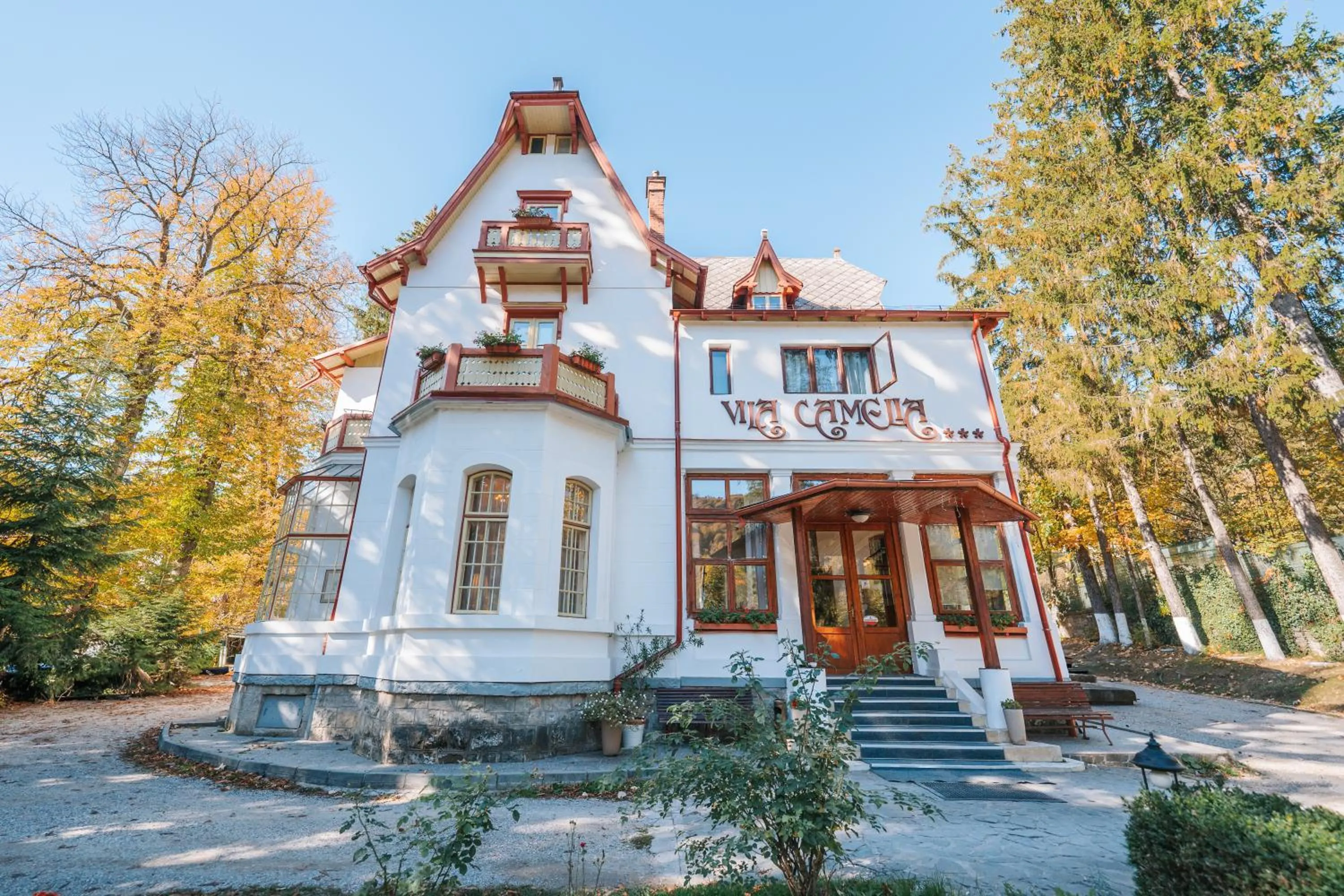 Property building in Vila Camelia