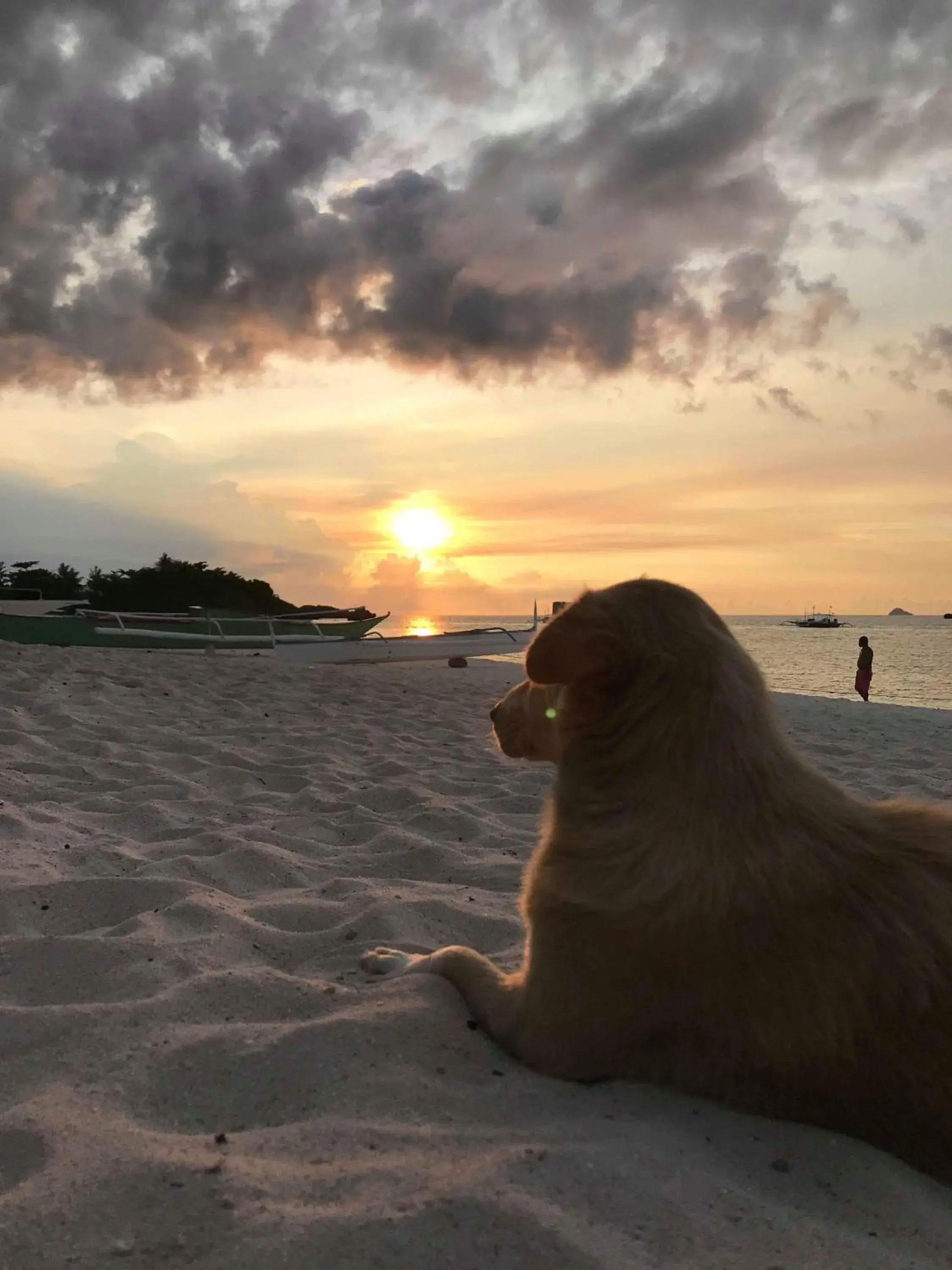 Avila's Horizon Dive Resort Malapascua Avila's Horizon Dive Resort Malapascua