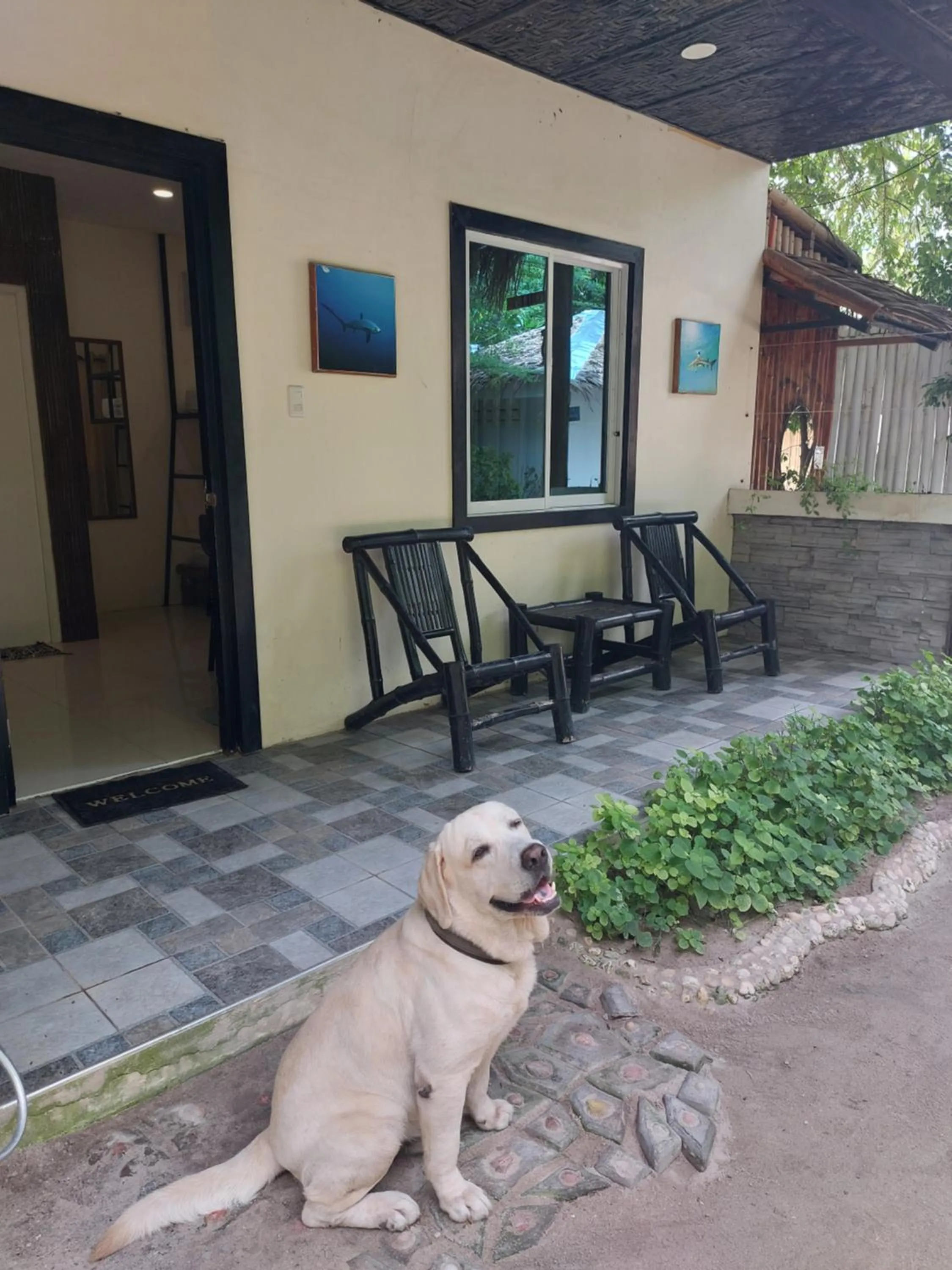 Avila's Horizon Dive Resort Malapascua