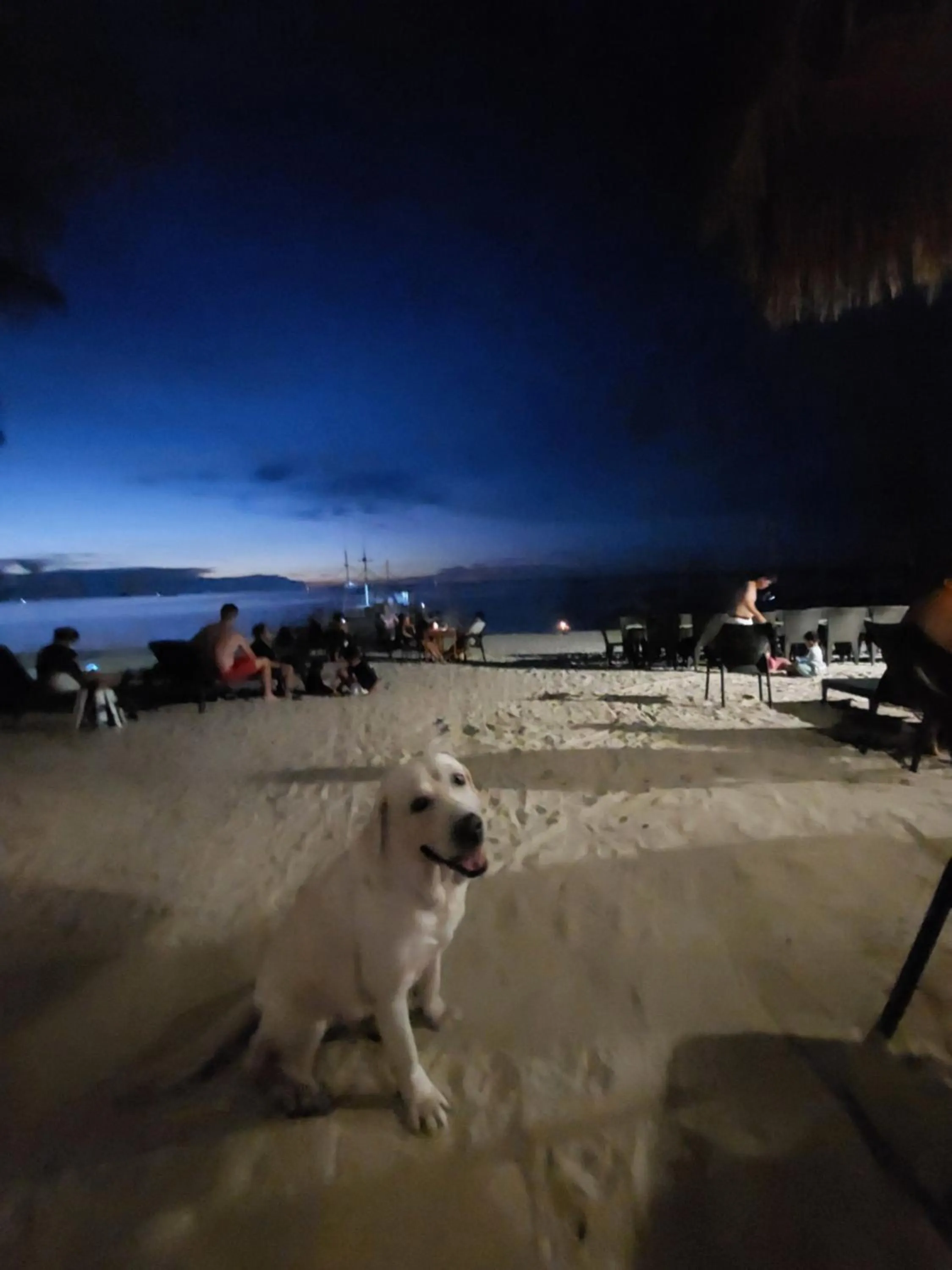 Avila's Horizon Dive Resort Malapascua