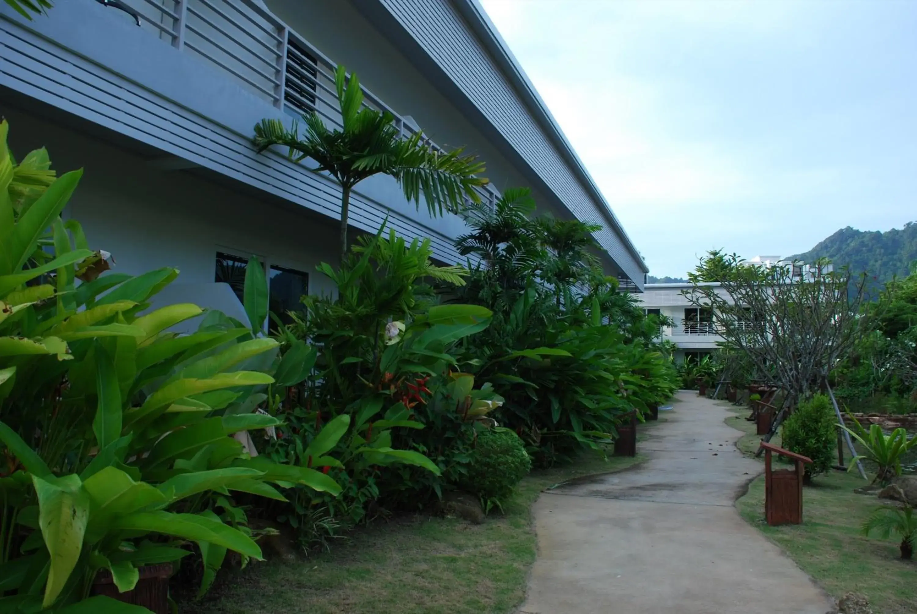Garden view in Phukamala Suite Garden view in Phukamala Suite