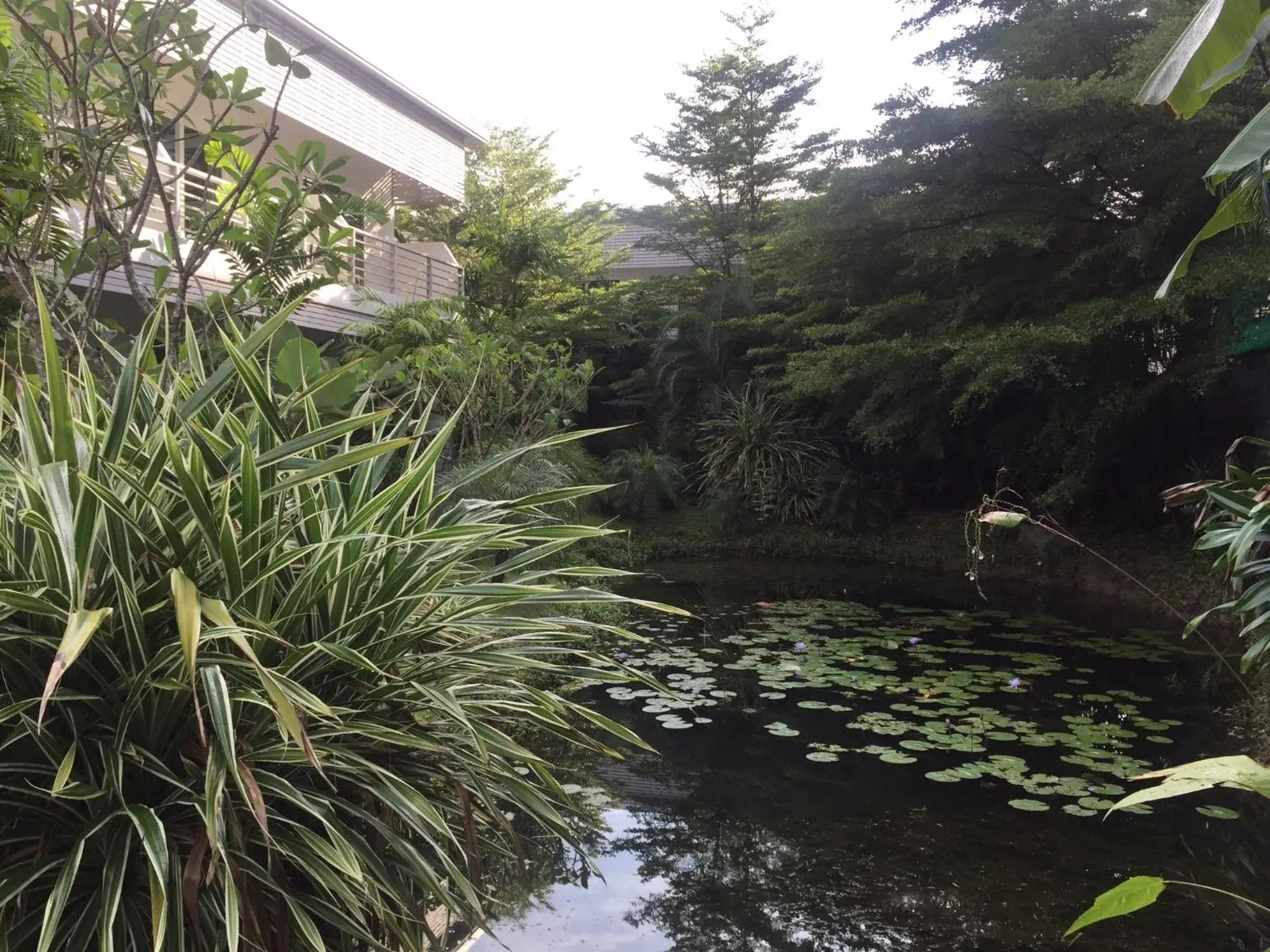 View (from property/room) in Phukamala Suite View (from property/room) in Phukamala Suite