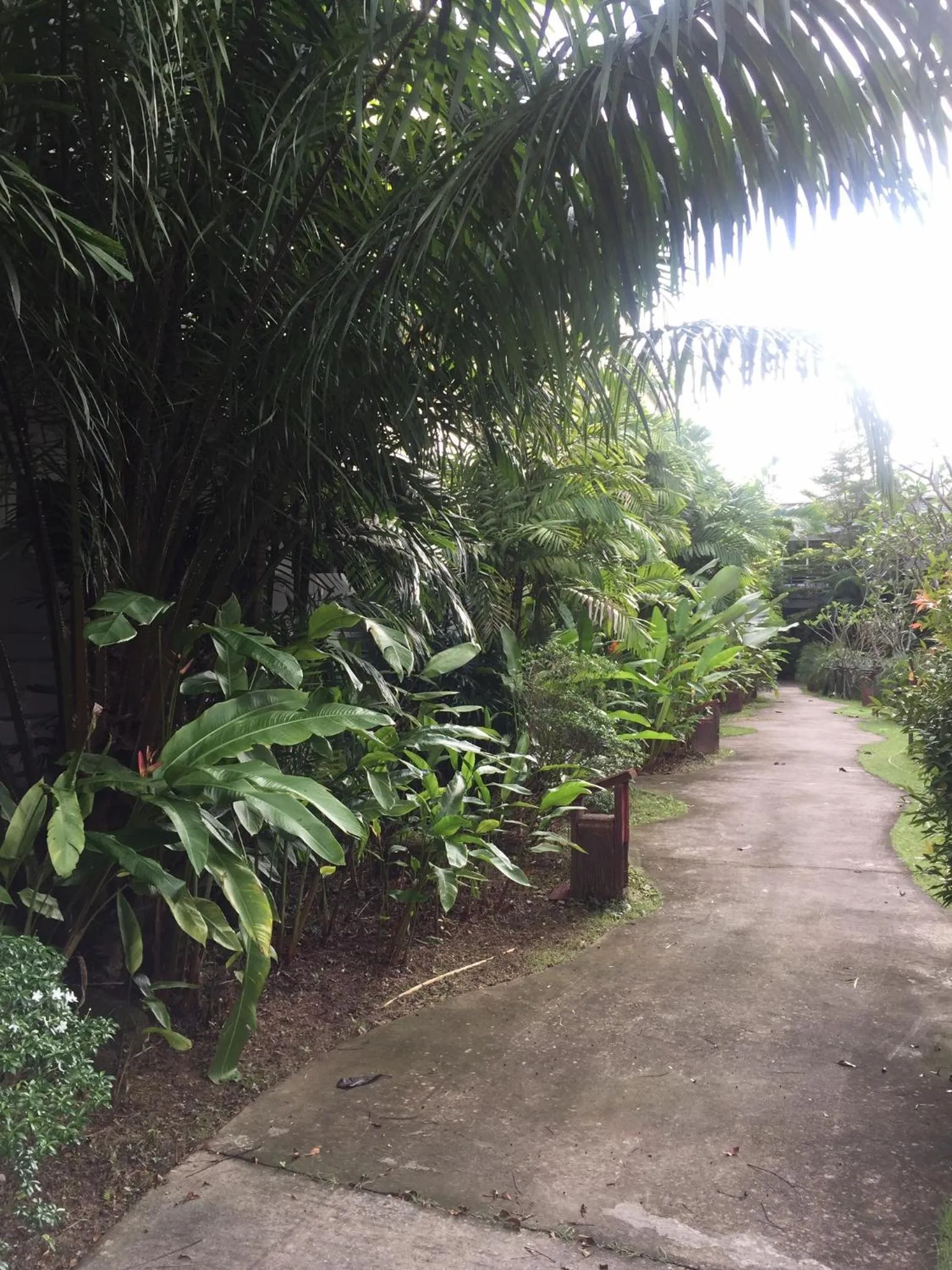 View (from property/room) in Phukamala Suite