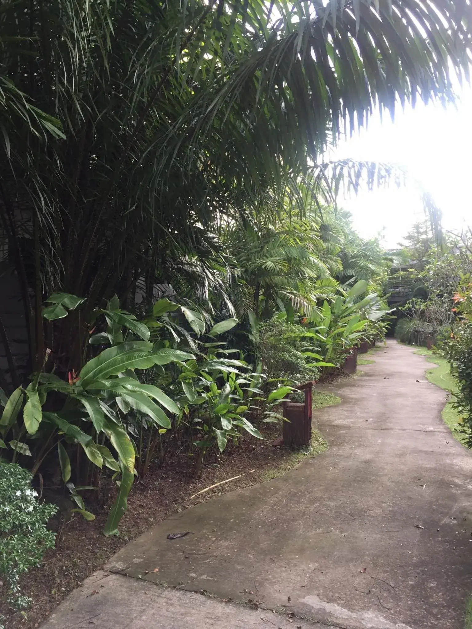 View (from property/room) in Phukamala Suite View (from property/room) in Phukamala Suite