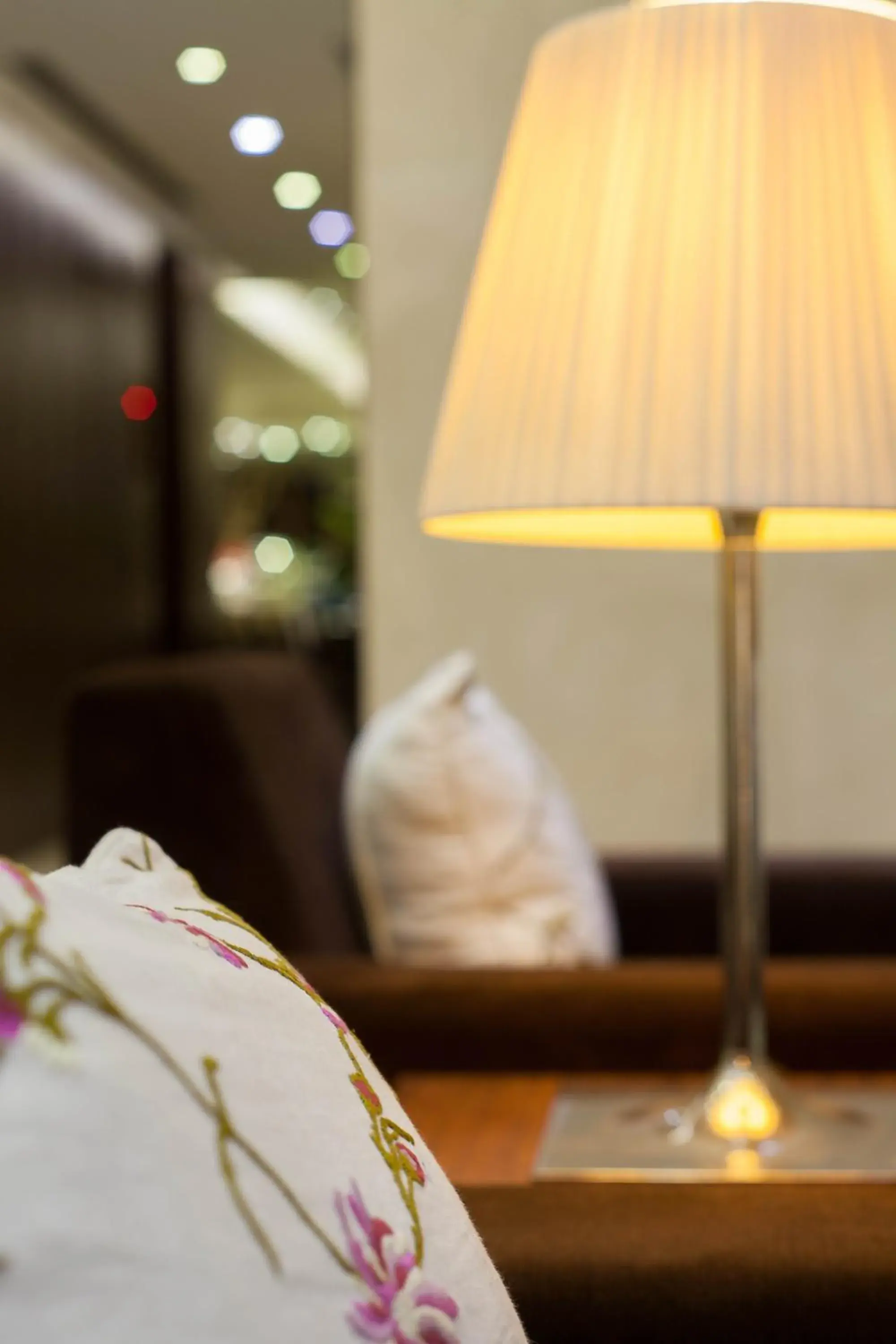 Lobby or reception, Bed in Authentic Hanoi Boutique Hotel Lobby or reception, Bed in Authentic Hanoi Boutique Hotel