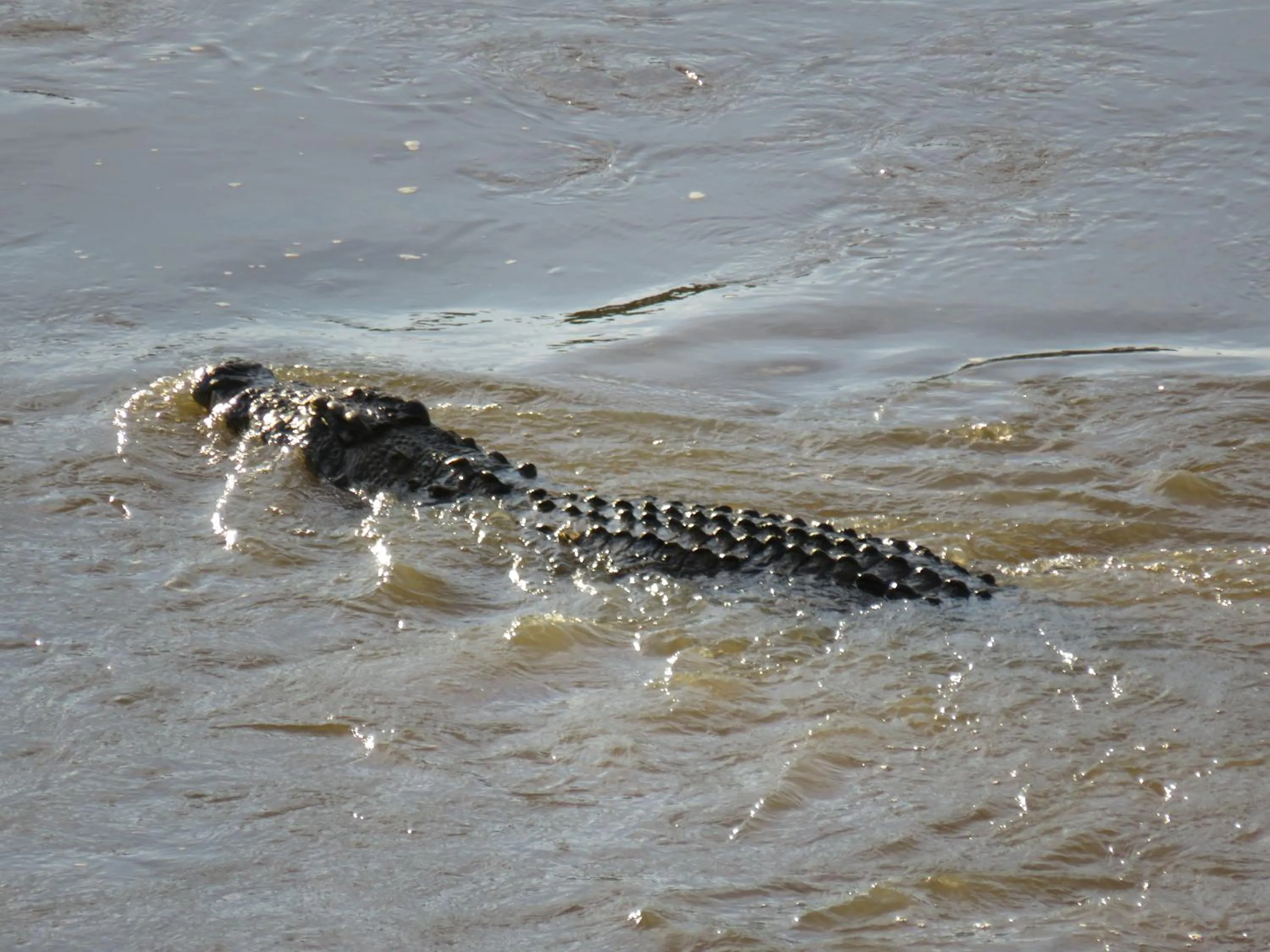 River view in Riverview Inn