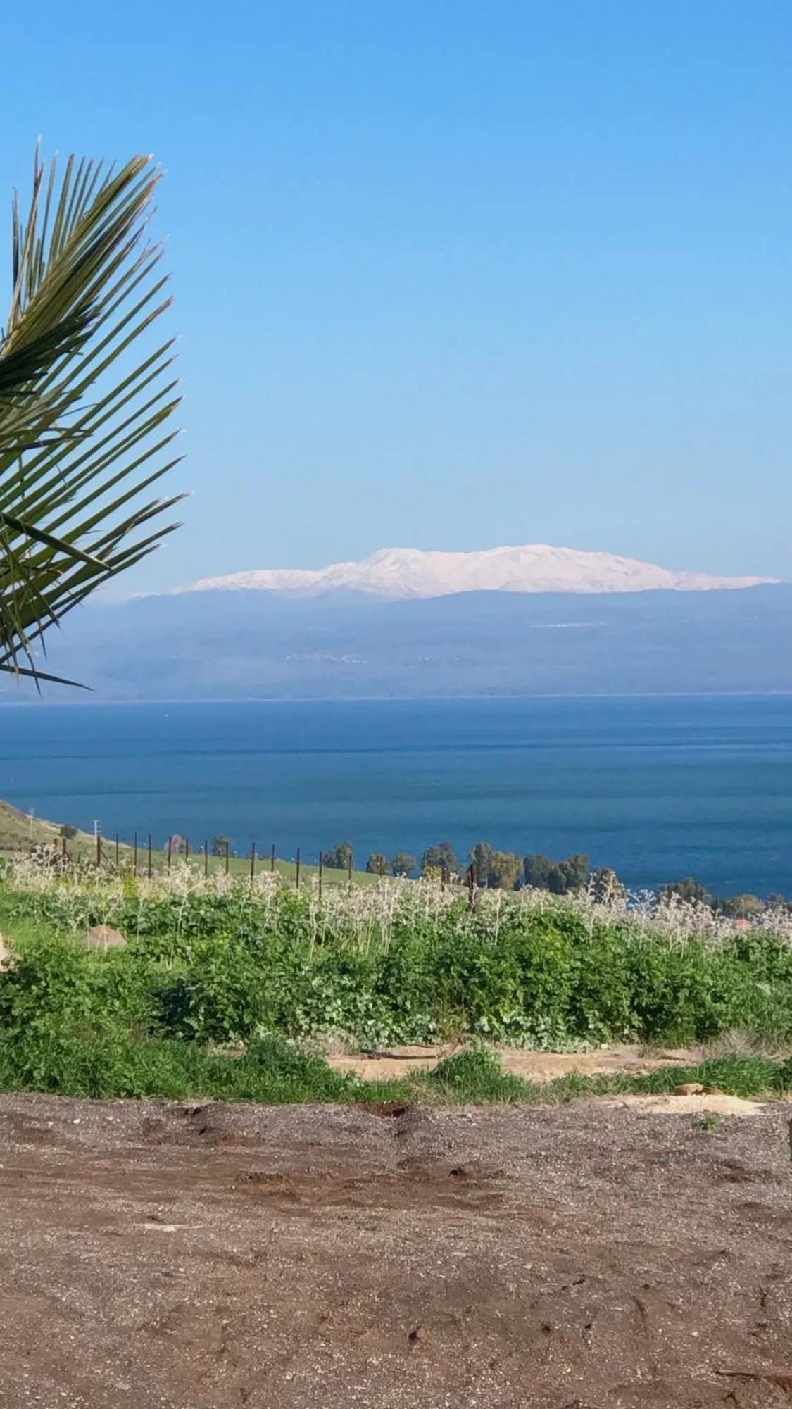 Kinneret View