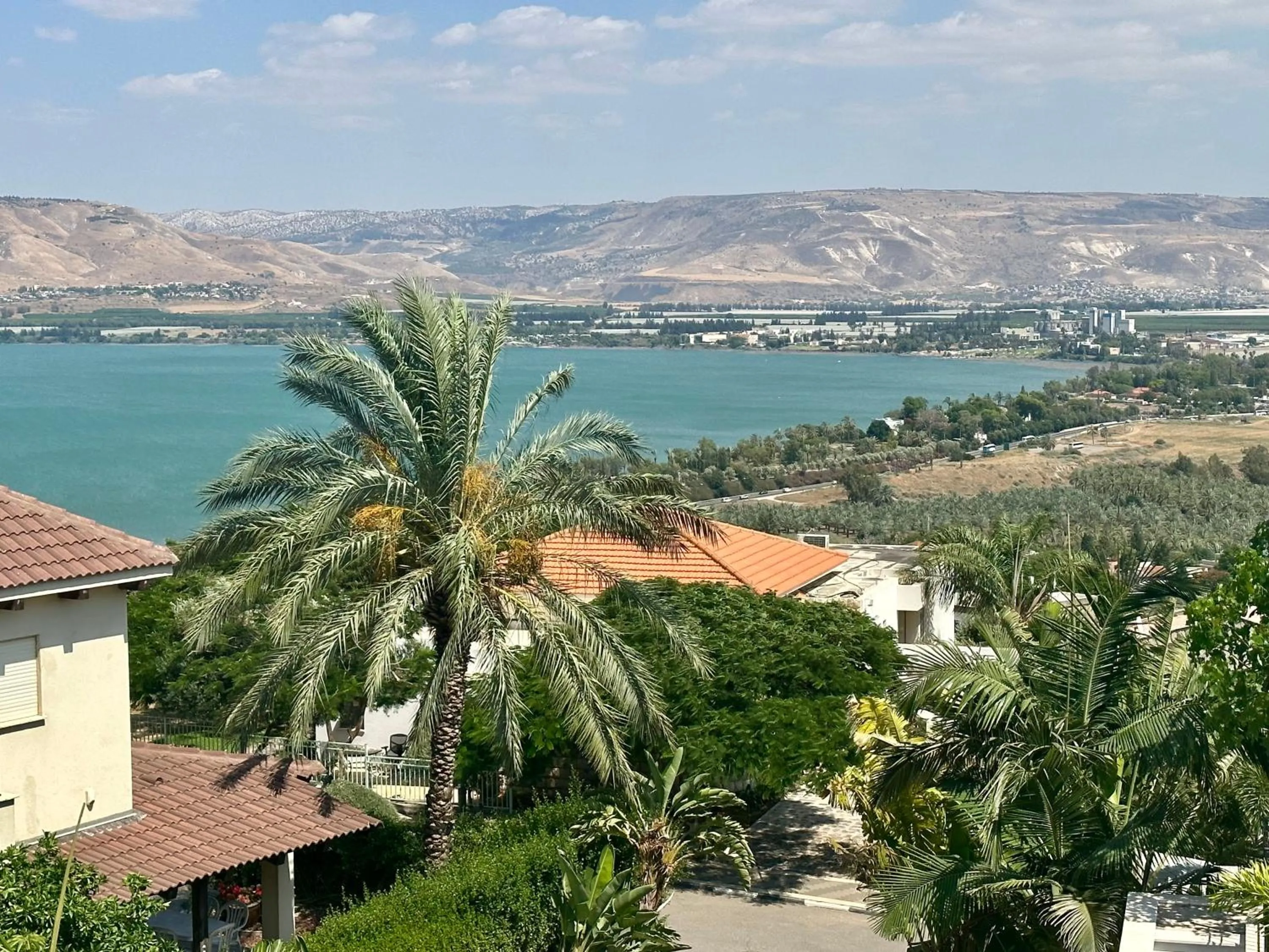 Kinneret View