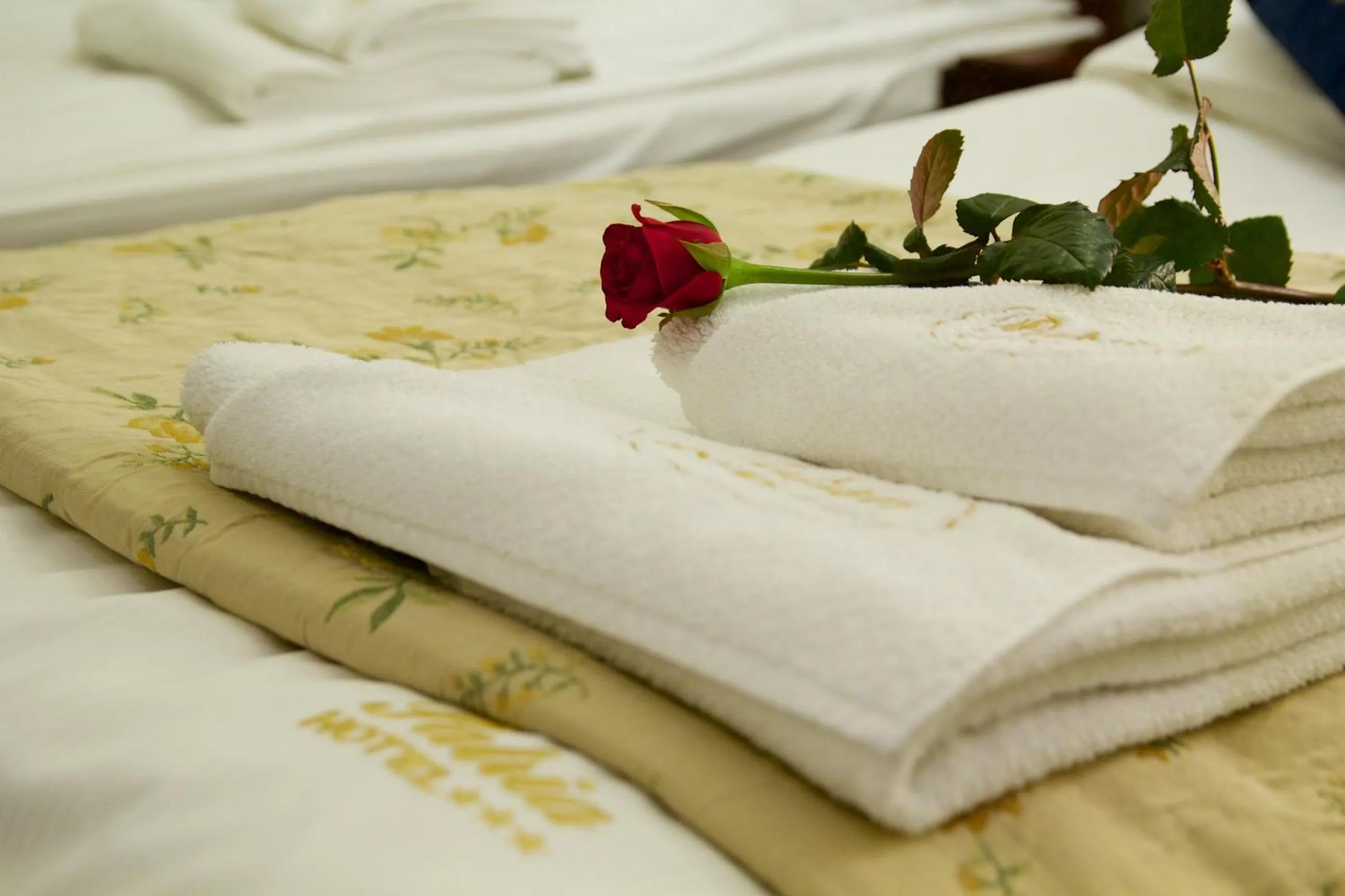 Bed in Hotel Patria Zakopane Centrum