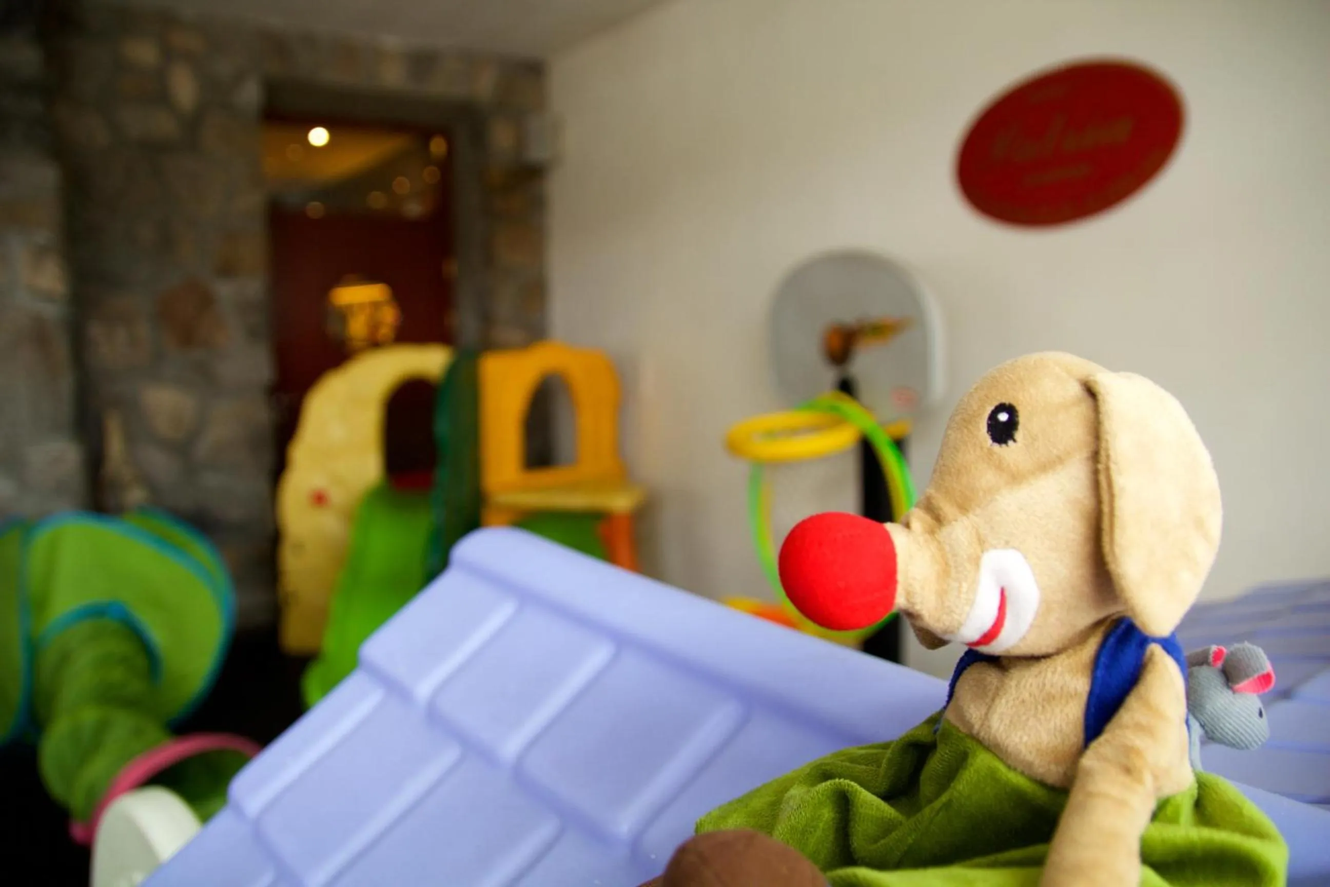 Area and facilities in Hotel Patria Zakopane Centrum