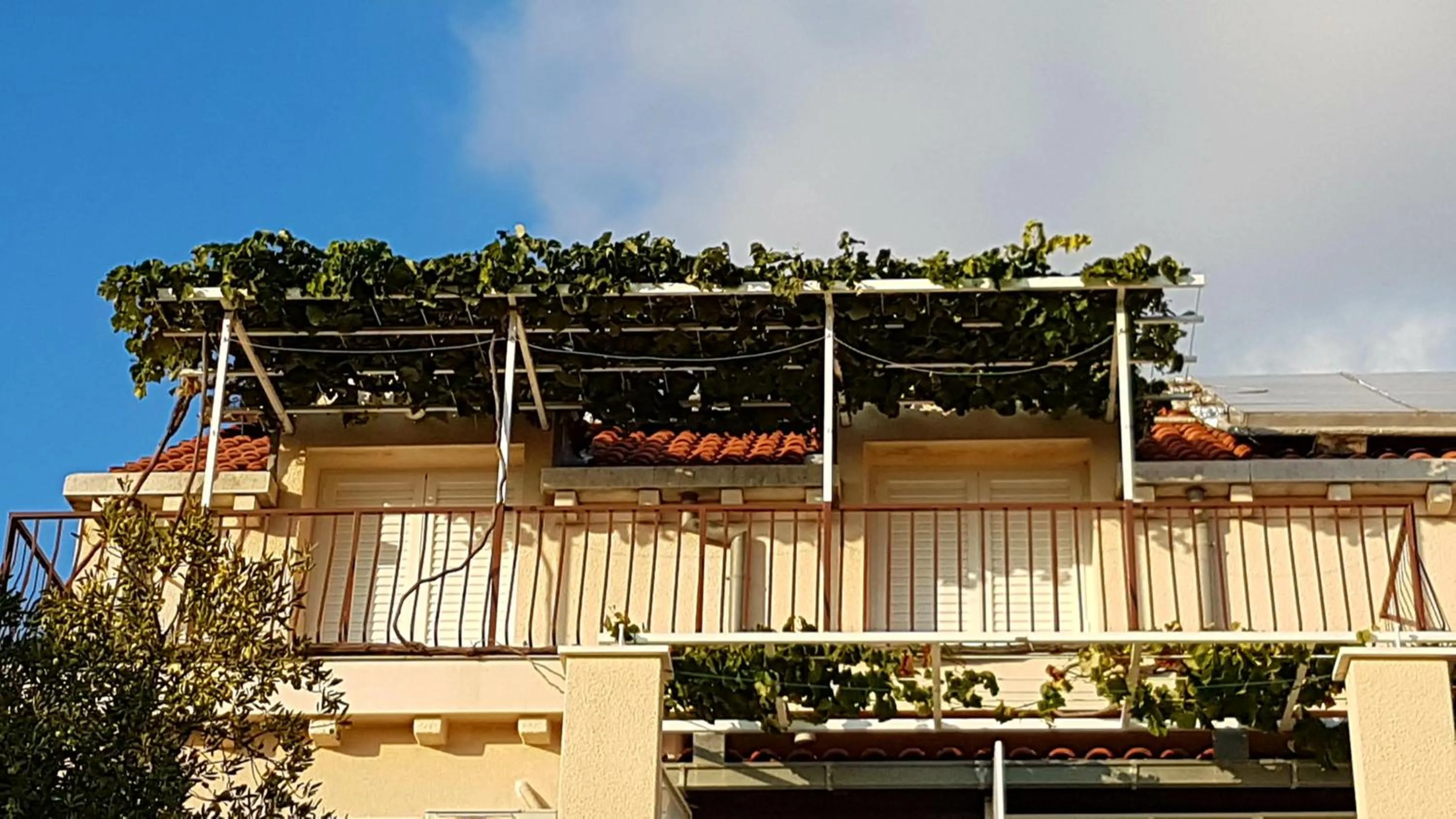 Balcony/Terrace in Apartments Kust