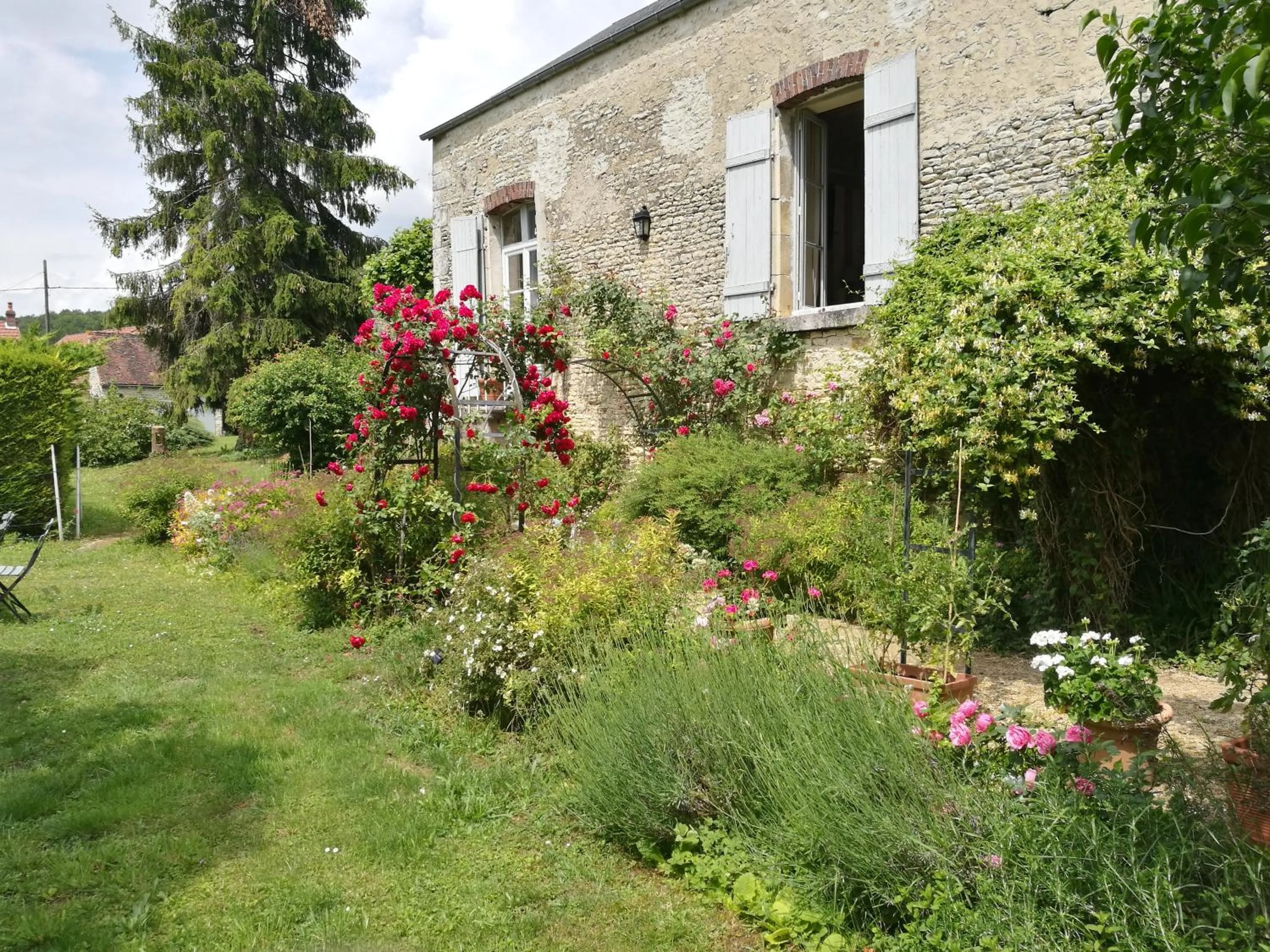 Garden in chez Zaza