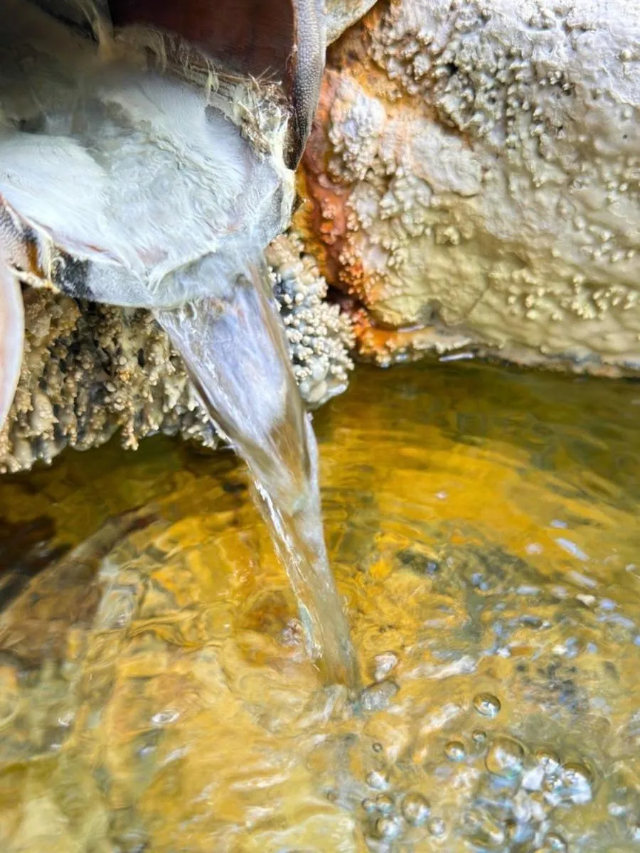 Hot Spring Bath in Yunominesou