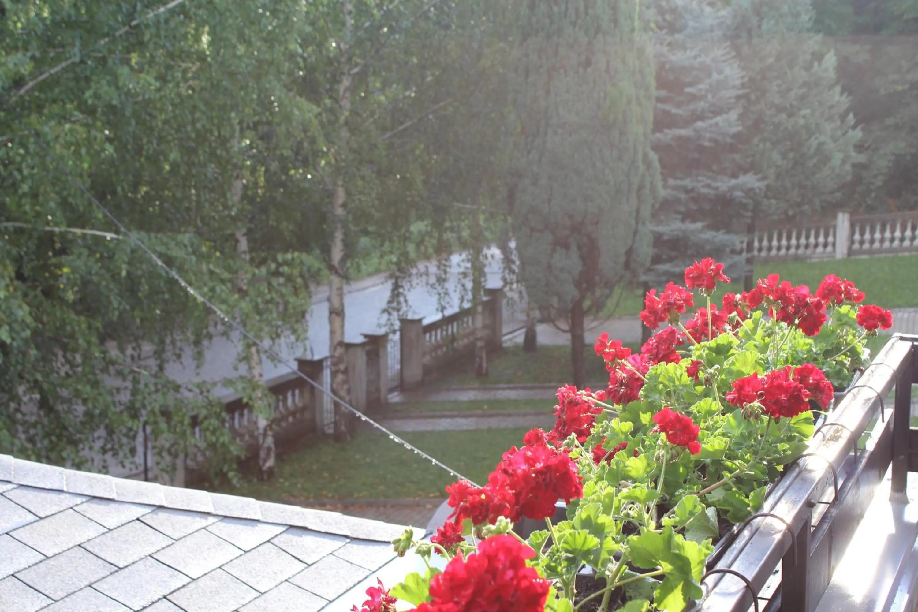 View (from property/room) in Hotel Danica